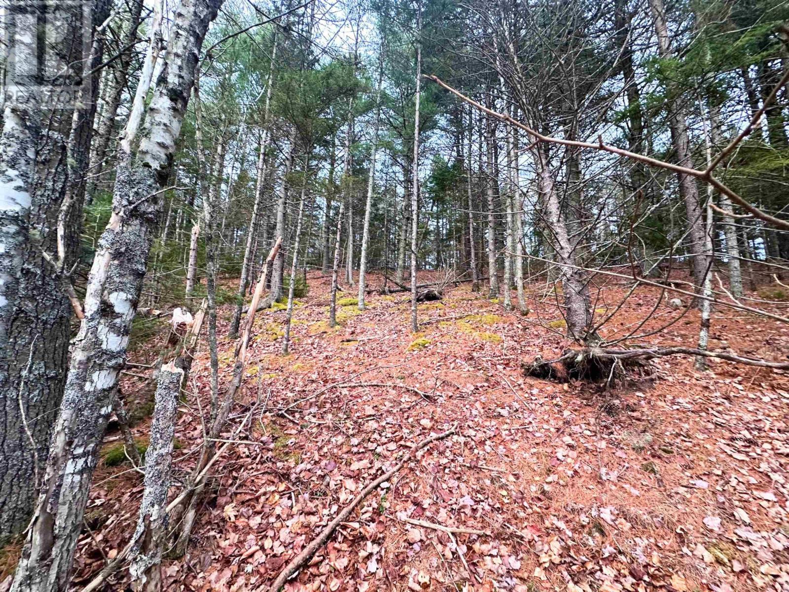 Lot 10 Ernest Marion Drive, Laconia, Nova Scotia  B4V 5W1 - Photo 16 - 202427328