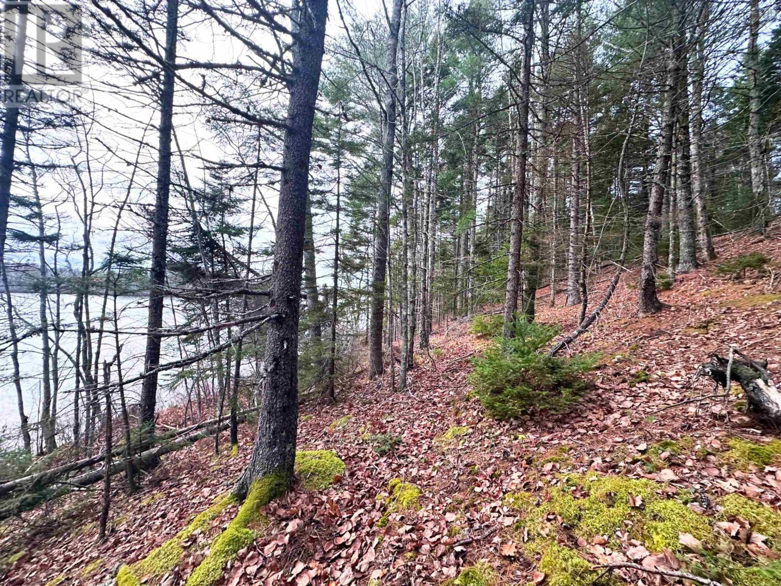 Lot 10 Ernest Marion Drive, Laconia, Nova Scotia  B4V 5W1 - Photo 18 - 202427328