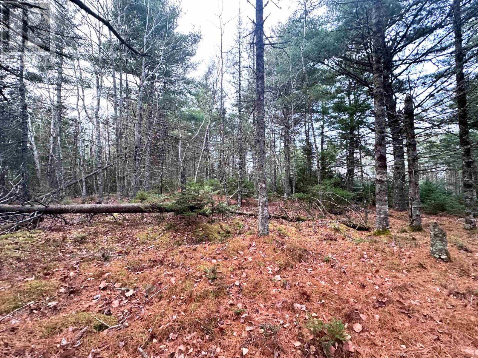 Lot 10 Ernest Marion Drive, Laconia, Nova Scotia  B4V 5W1 - Photo 23 - 202427328