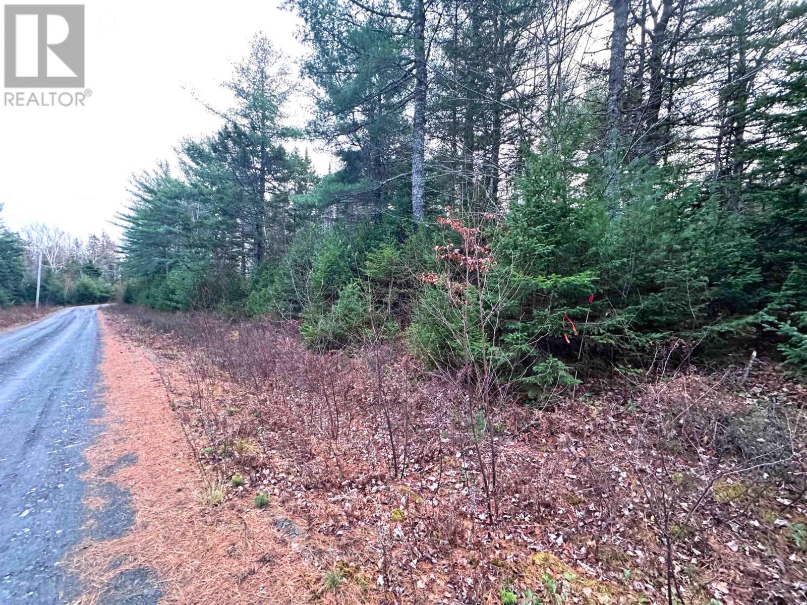 Lot 10 Ernest Marion Drive, Laconia, Nova Scotia  B4V 5W1 - Photo 24 - 202427328