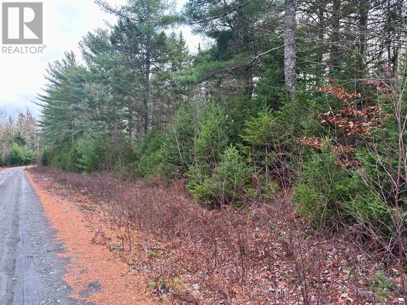 Lot 10 Ernest Marion Drive, Laconia, Nova Scotia  B4V 5W1 - Photo 26 - 202427328