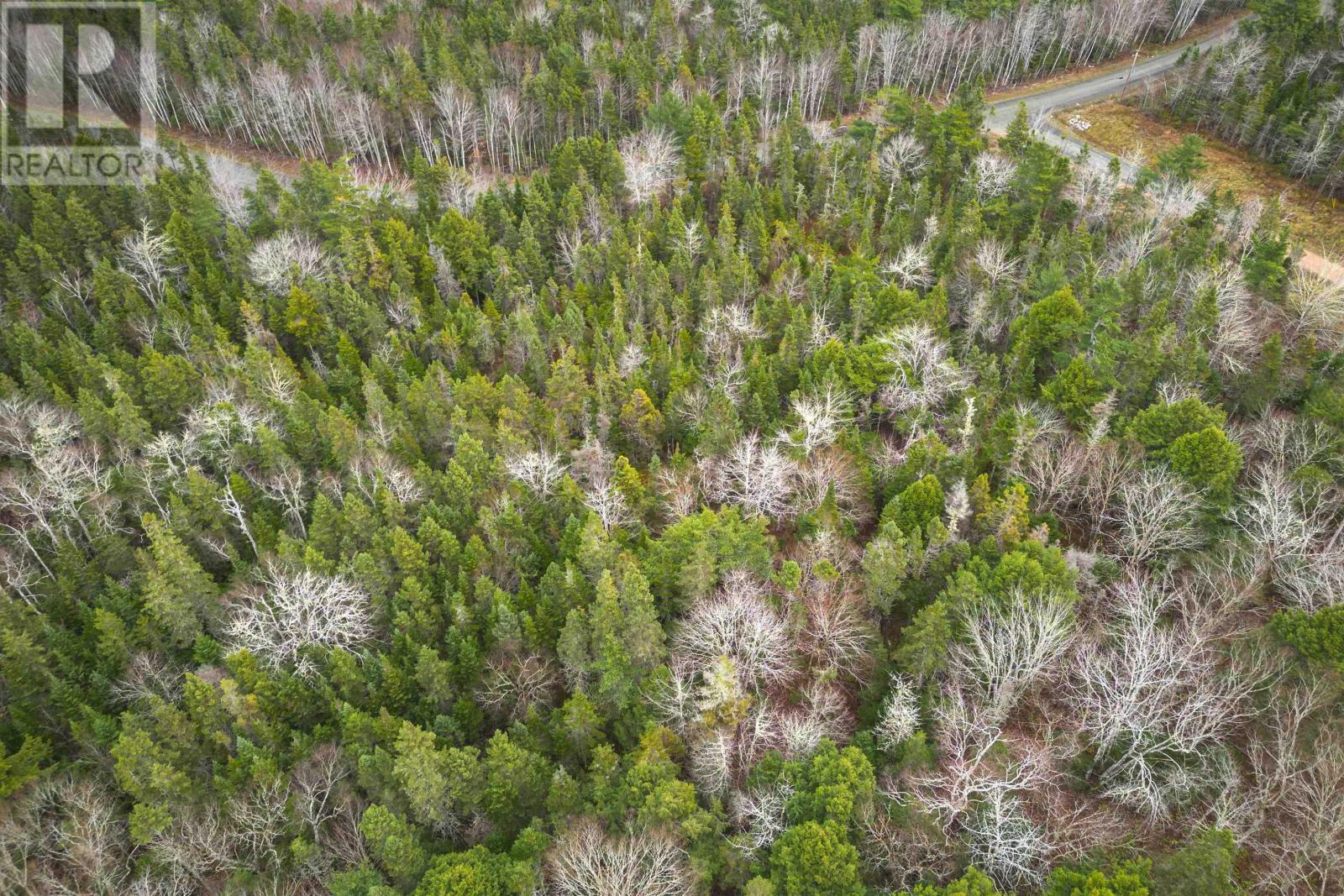 Lot 3ef Militia Point Road, Militia Point, Nova Scotia  B0E 2Y0 - Photo 24 - 202427337