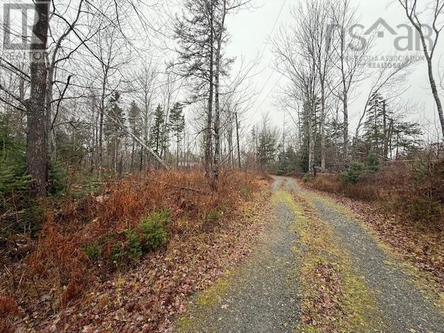 873 Loch Broom Loop Road, Loch Broom, Nova Scotia  B0K 2A0 - Photo 33 - 202427341