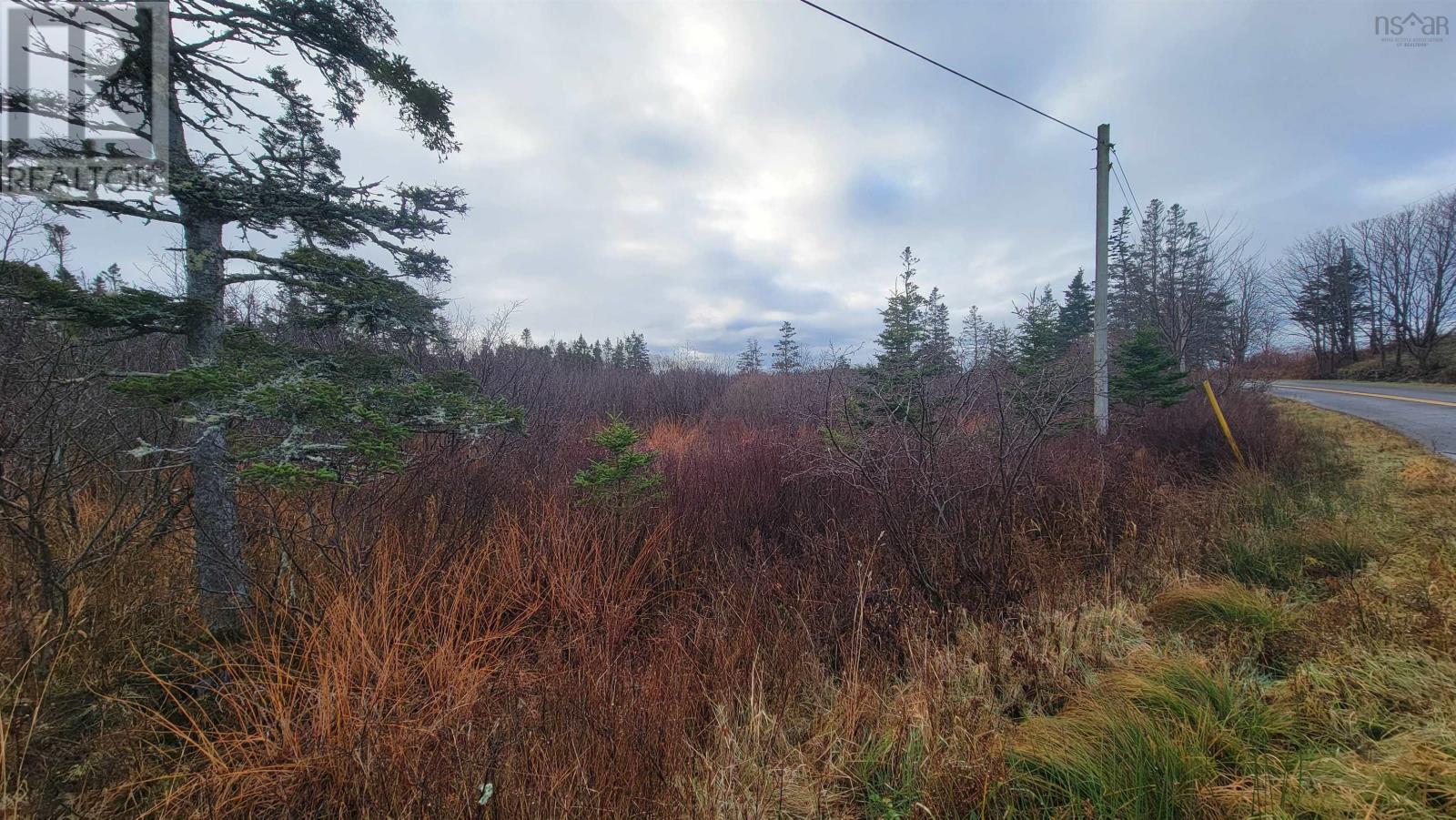 Lot Overton Road, Overton, Nova Scotia  B5A 0G5 - Photo 3 - 202427378