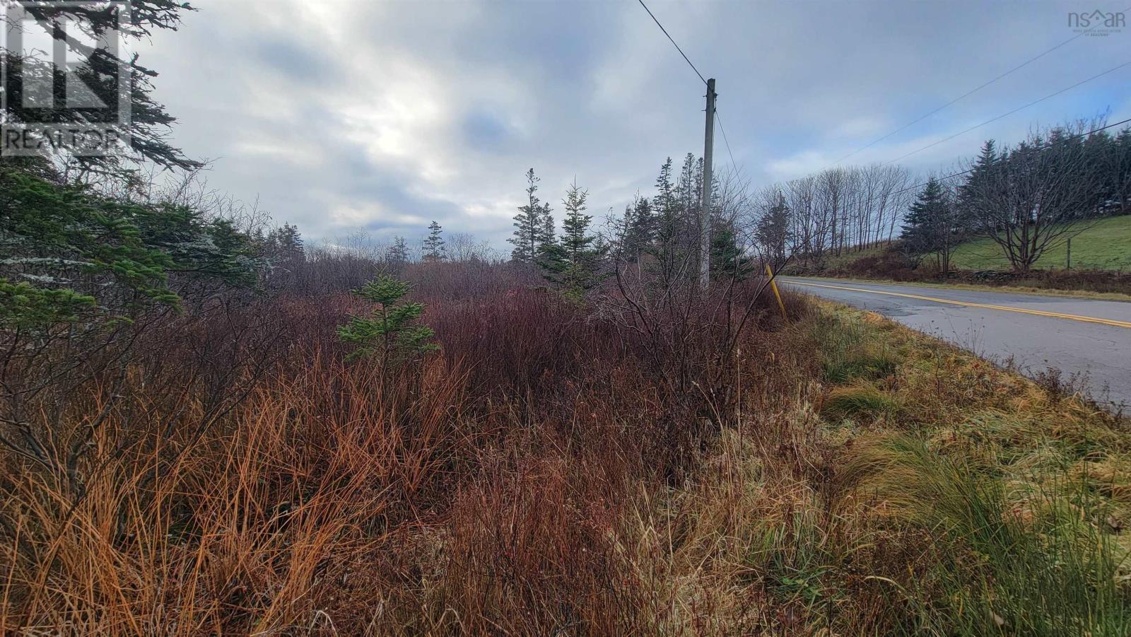 Lot Overton Road, Overton, Nova Scotia  B5A 0G5 - Photo 5 - 202427378