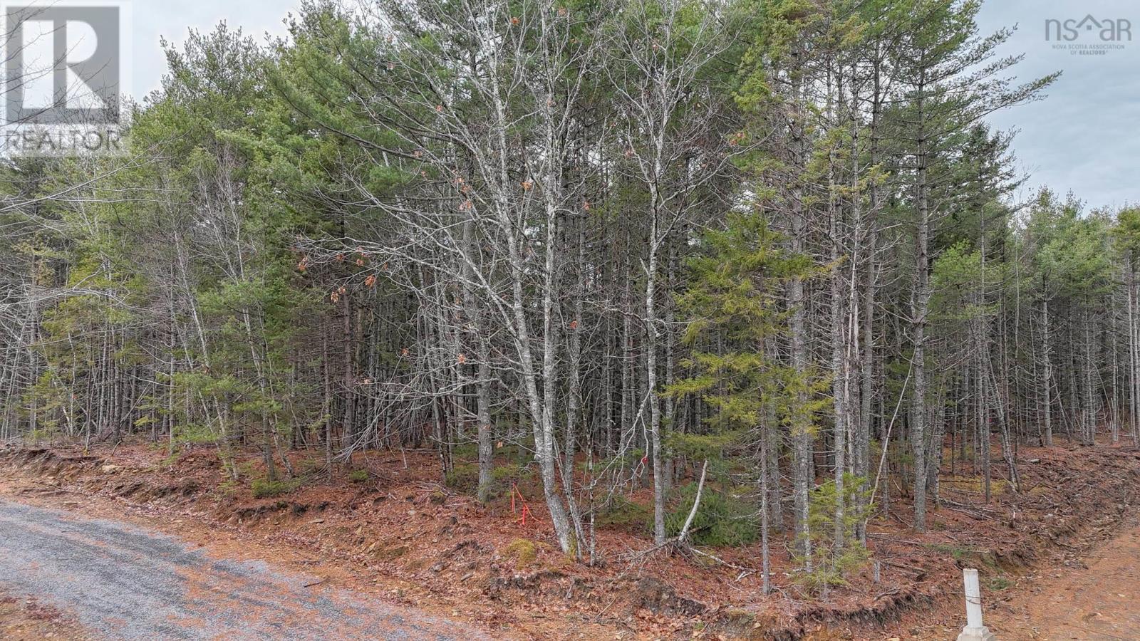 Lot 101 Cleversey Ridge Park, Fauxburg, Nova Scotia  B0J 2C0 - Photo 5 - 202427441