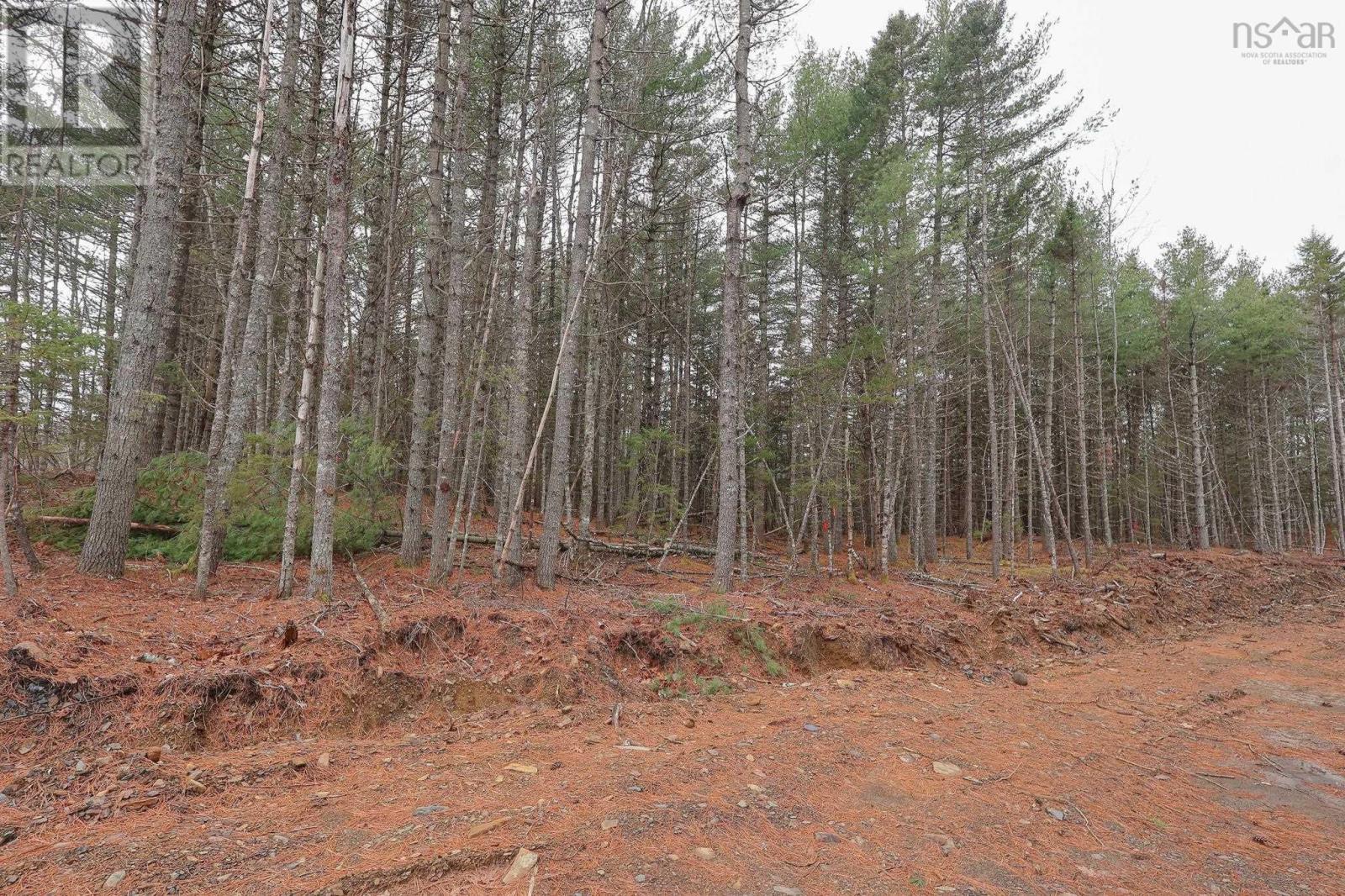 Lot 101 Cleversey Ridge Park, Fauxburg, Nova Scotia  B0J 2C0 - Photo 7 - 202427441