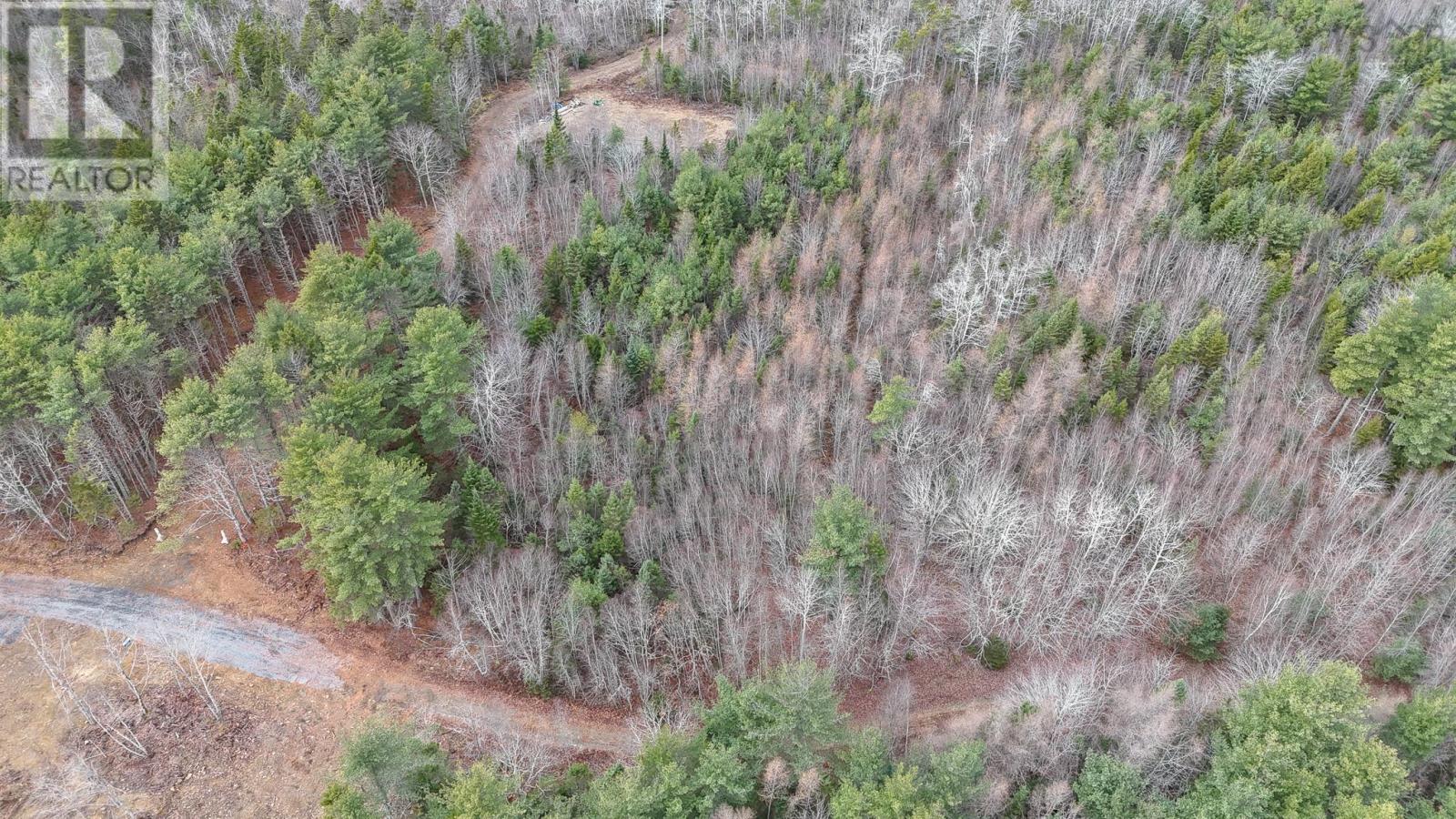 Lot 102 Cleversey Ridge Park, Fauxburg, Nova Scotia  B0J 2C0 - Photo 3 - 202427442