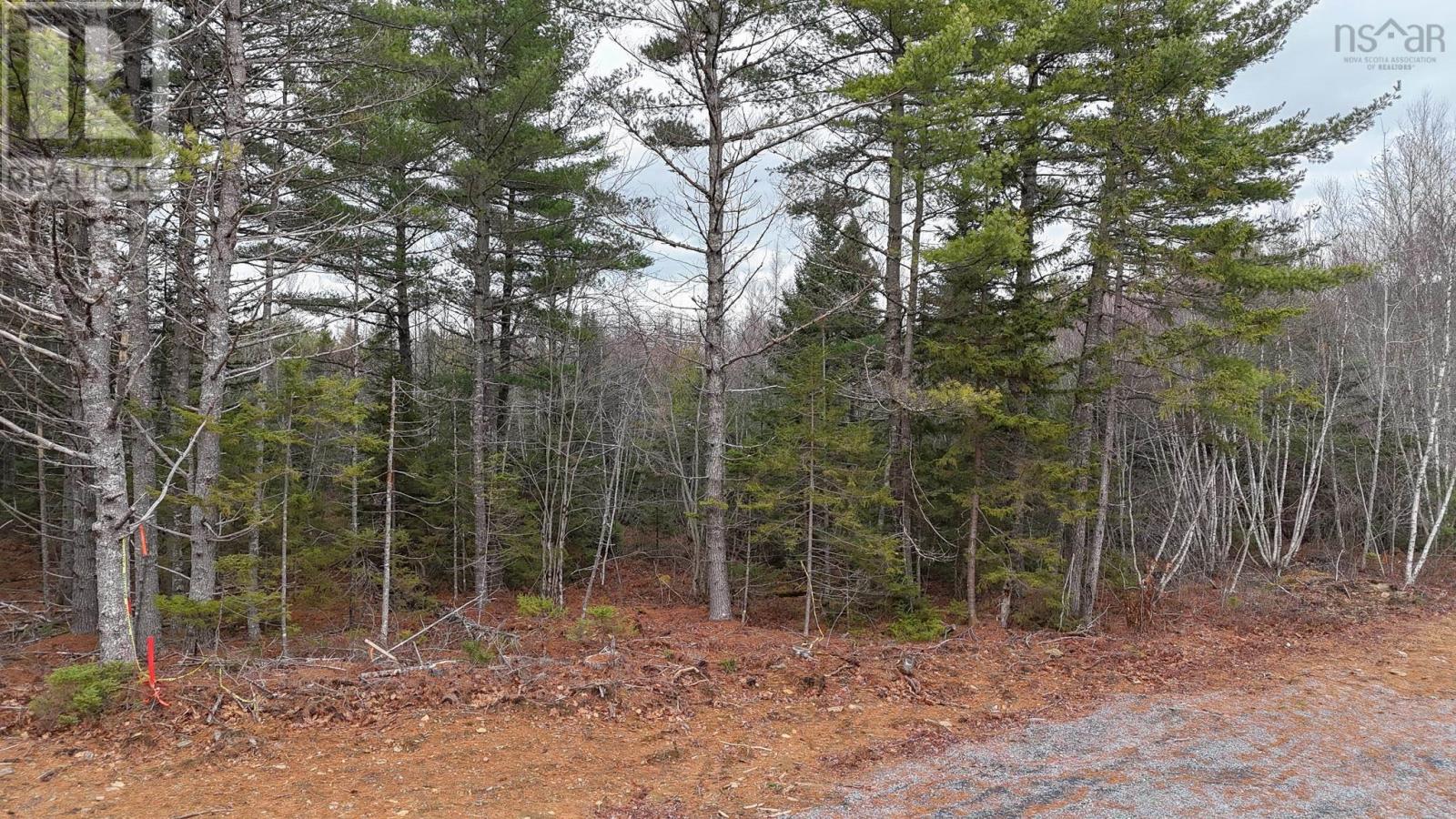 Lot 102 Cleversey Ridge Park, Fauxburg, Nova Scotia  B0J 2C0 - Photo 5 - 202427442