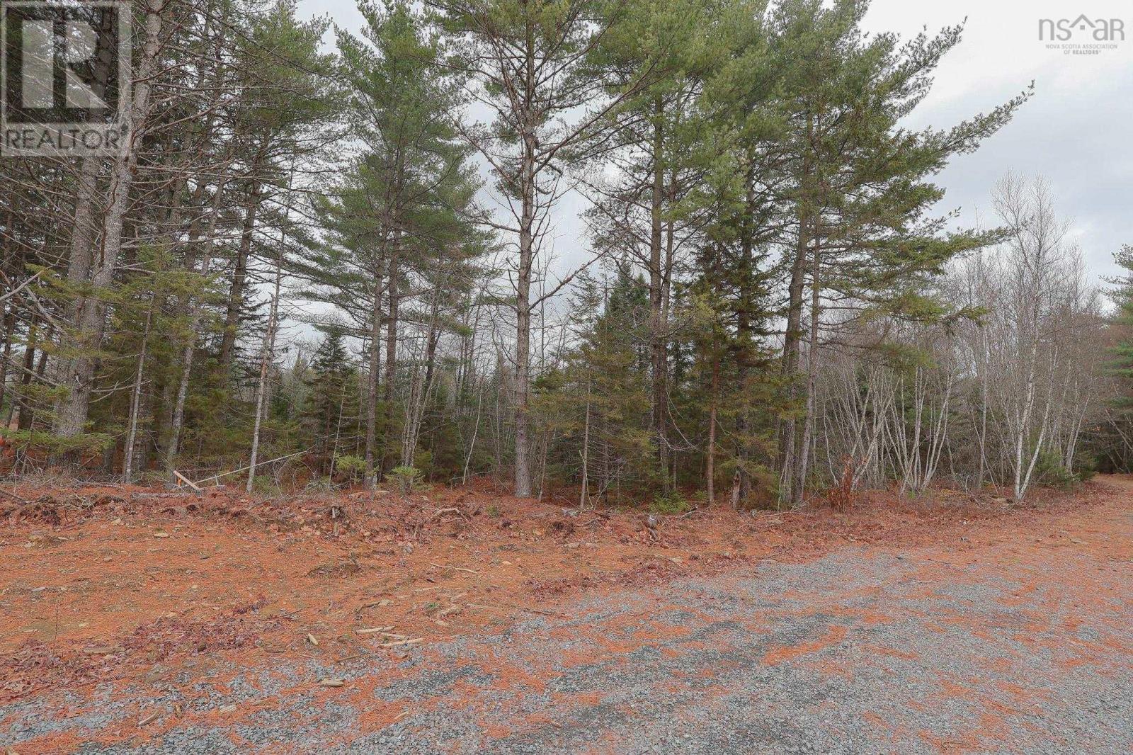 Lot 102 Cleversey Ridge Park, Fauxburg, Nova Scotia  B0J 2C0 - Photo 7 - 202427442