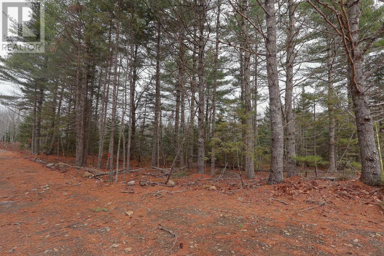 Lot 102 Cleversey Ridge Park, Fauxburg, Nova Scotia  B0J 2C0 - Photo 8 - 202427442