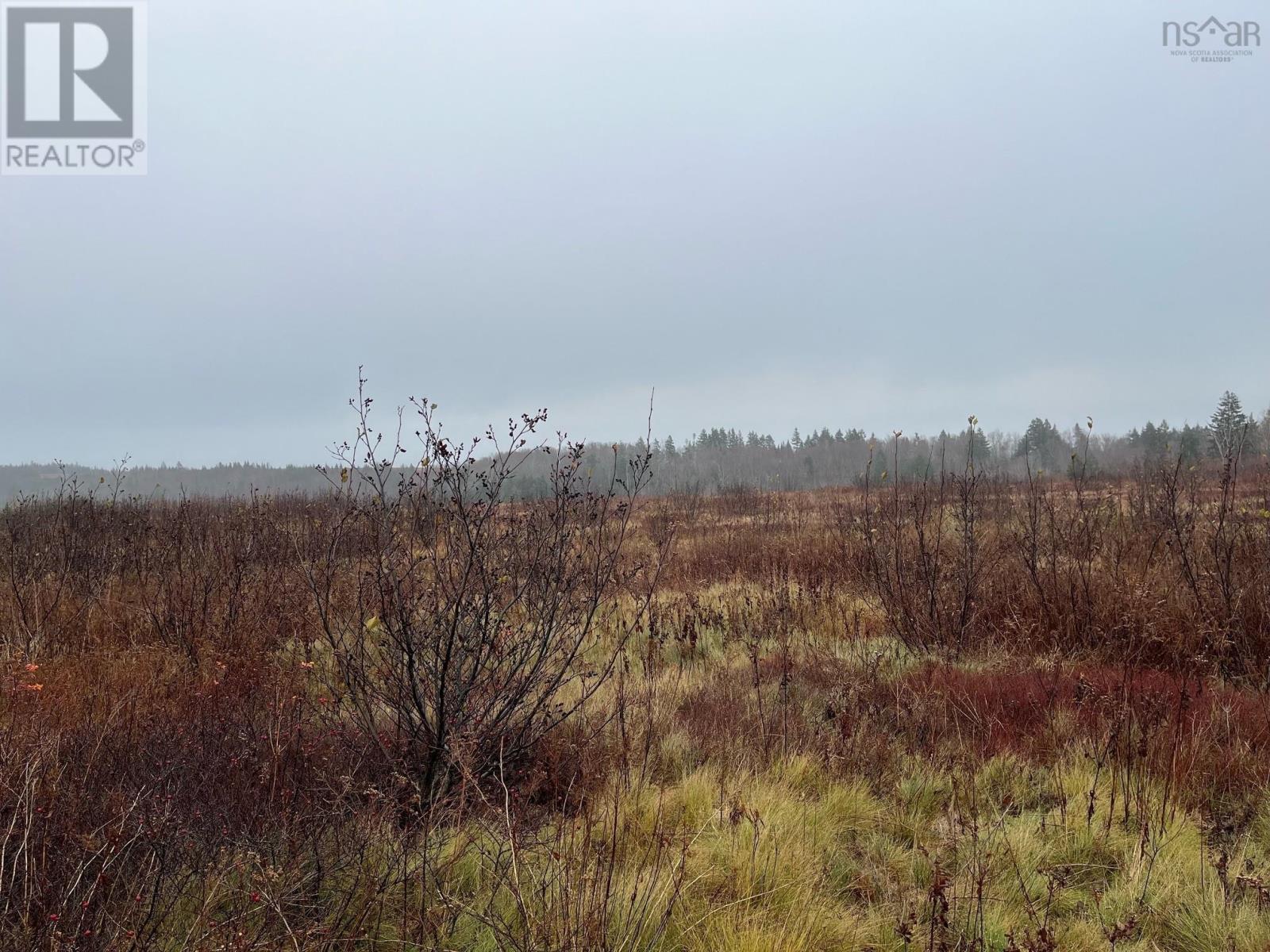 Allen Hill Road, Spencers Island, Nova Scotia  B0M 1S0 - Photo 2 - 202427470