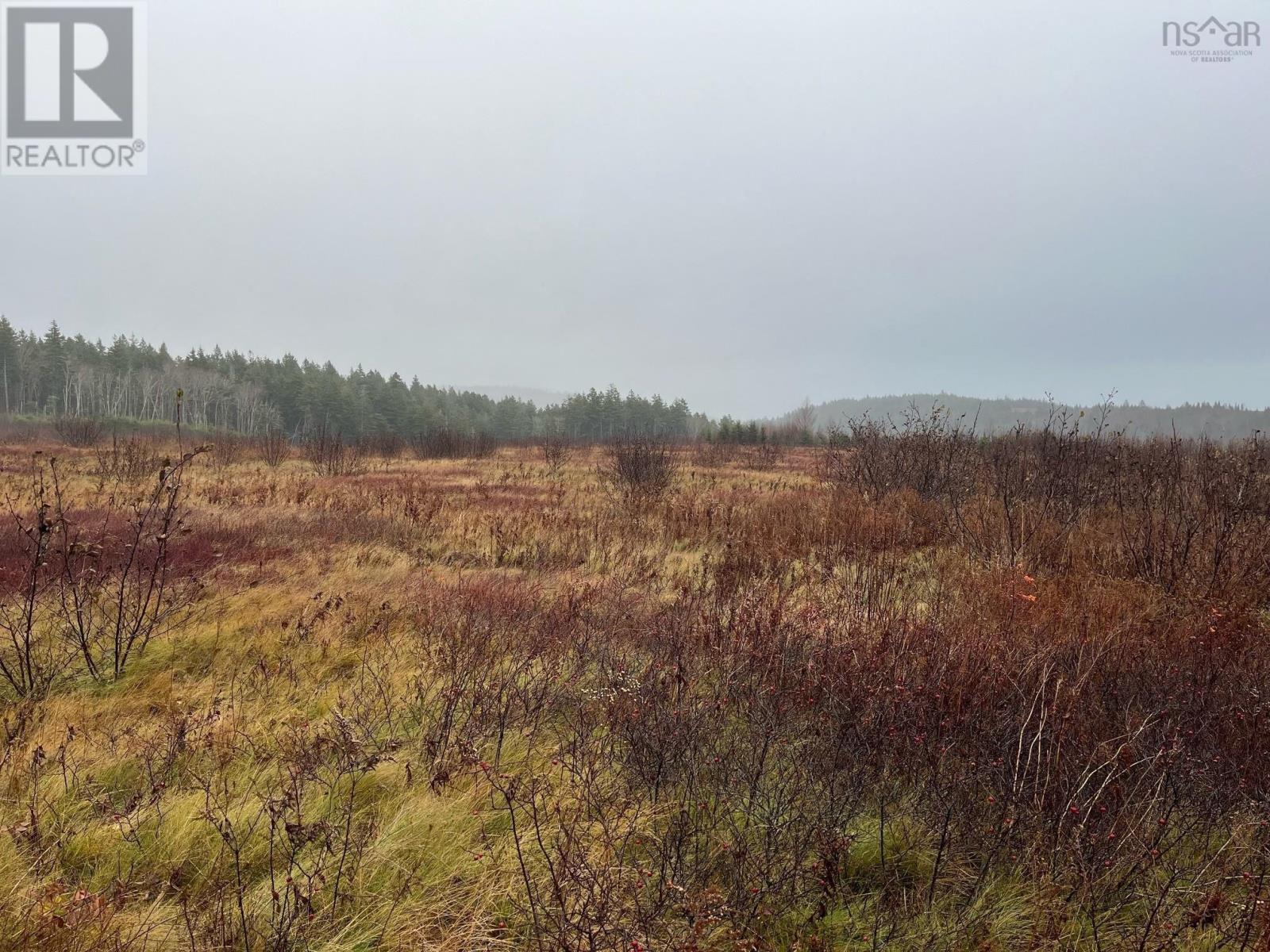 Allen Hill Road, Spencers Island, Nova Scotia  B0M 1S0 - Photo 3 - 202427470