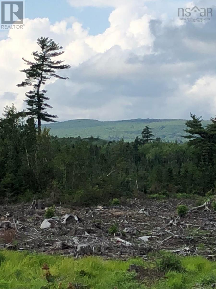 Lot Upper Belmont Road, Belmont, Nova Scotia  B0M 1G0 - Photo 2 - 202427490