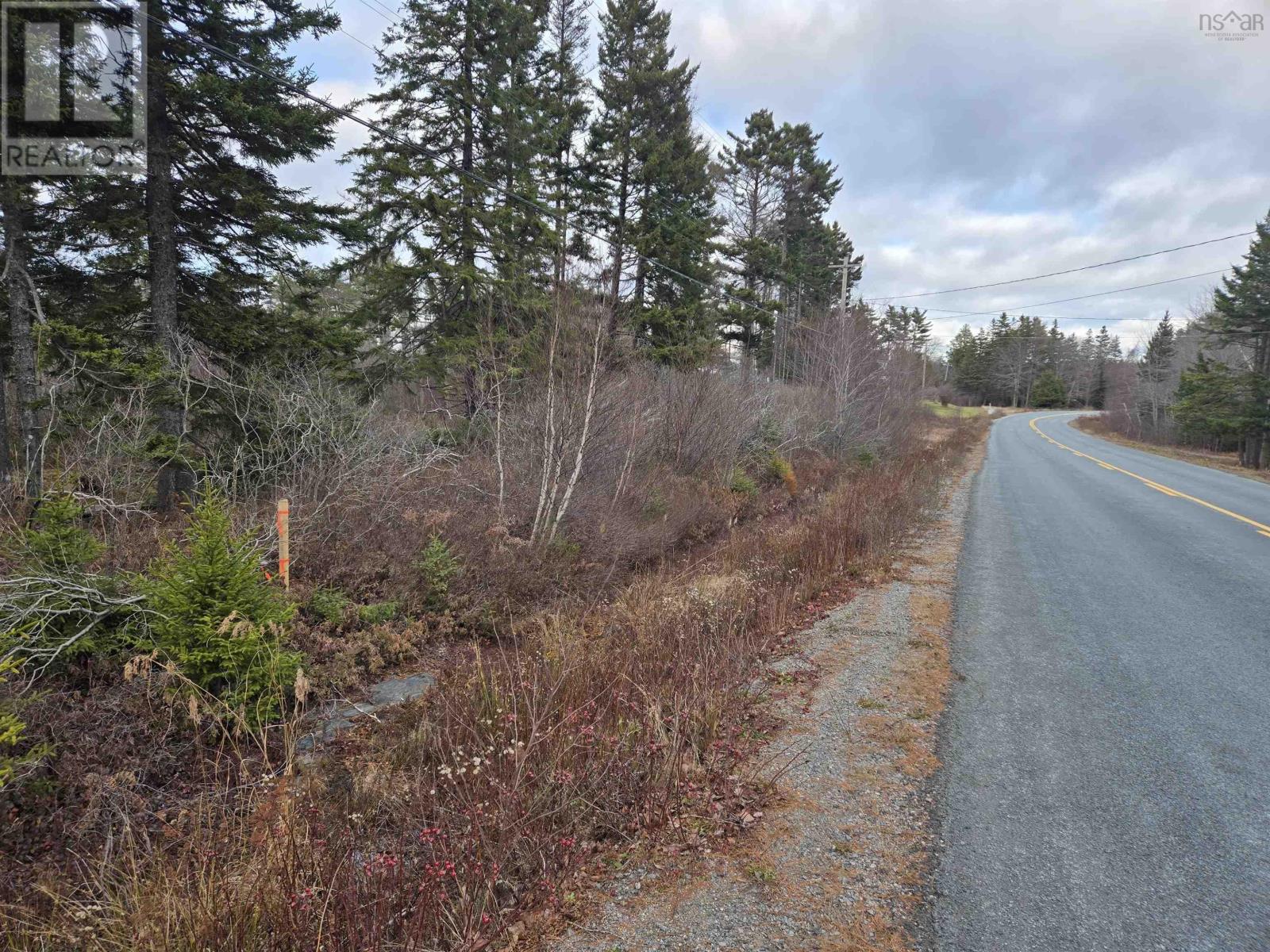 Lot P-2 Mount Pleasant Road, Mount Pleasant, Nova Scotia  B0R 1G0 - Photo 1 - 202427495