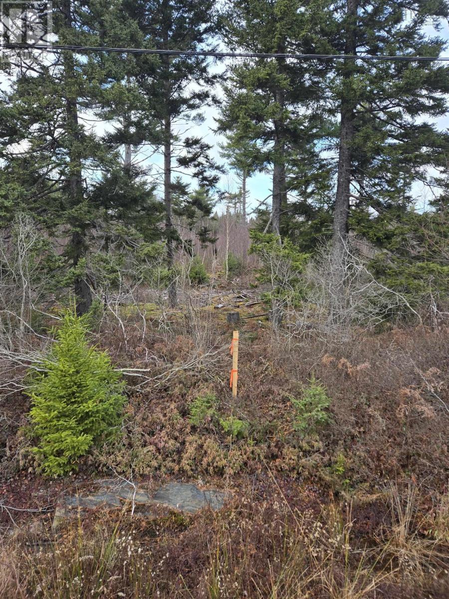 Lot P-2 Mount Pleasant Road, Mount Pleasant, Nova Scotia  B0R 1G0 - Photo 2 - 202427495