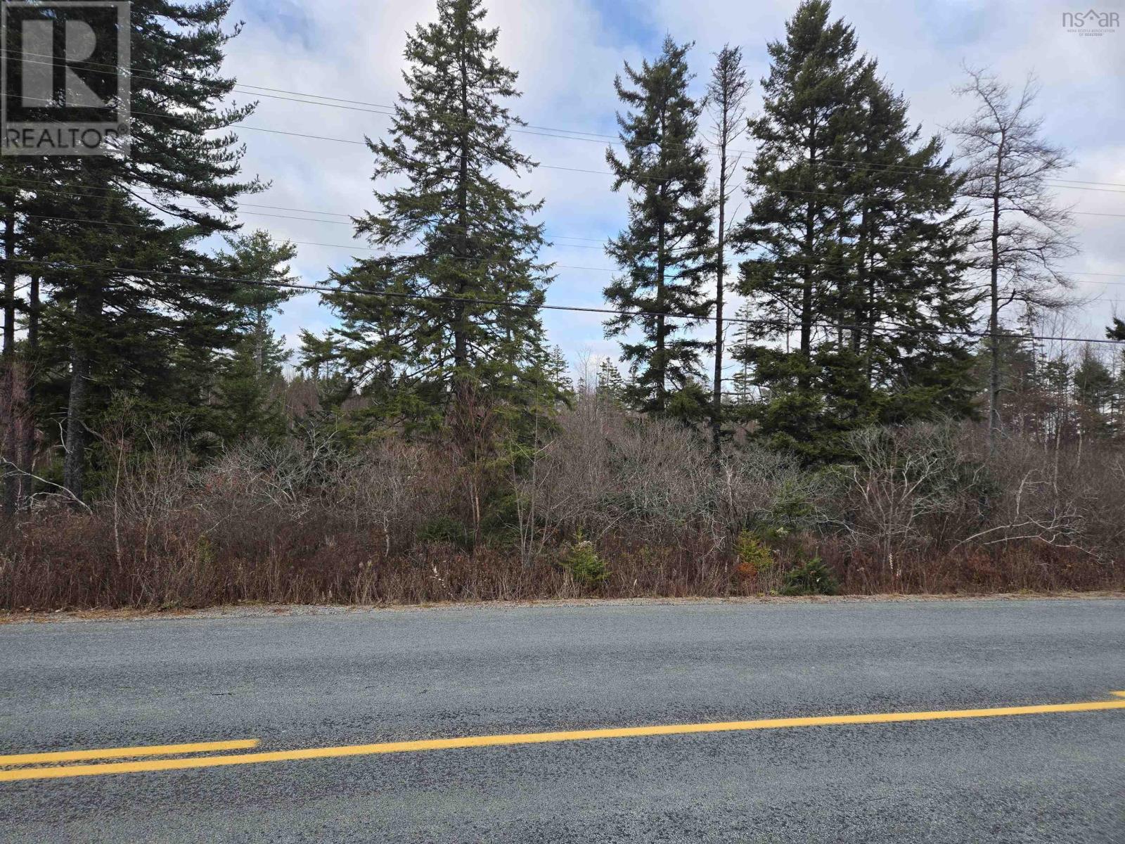 Lot P-2 Mount Pleasant Road, Mount Pleasant, Nova Scotia  B0R 1G0 - Photo 3 - 202427495