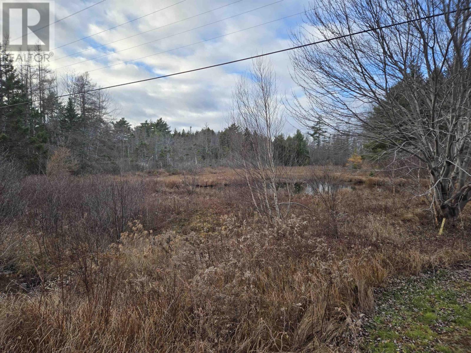 Lot P-2 Mount Pleasant Road, Mount Pleasant, Nova Scotia  B0R 1G0 - Photo 5 - 202427495