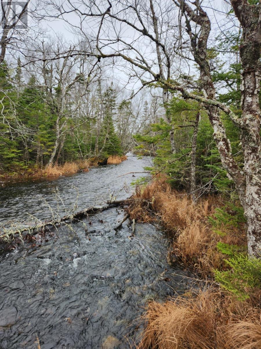 97 Harbour View Drive, Watt Section, Nova Scotia  B0J 3B0 - Photo 2 - 202427499