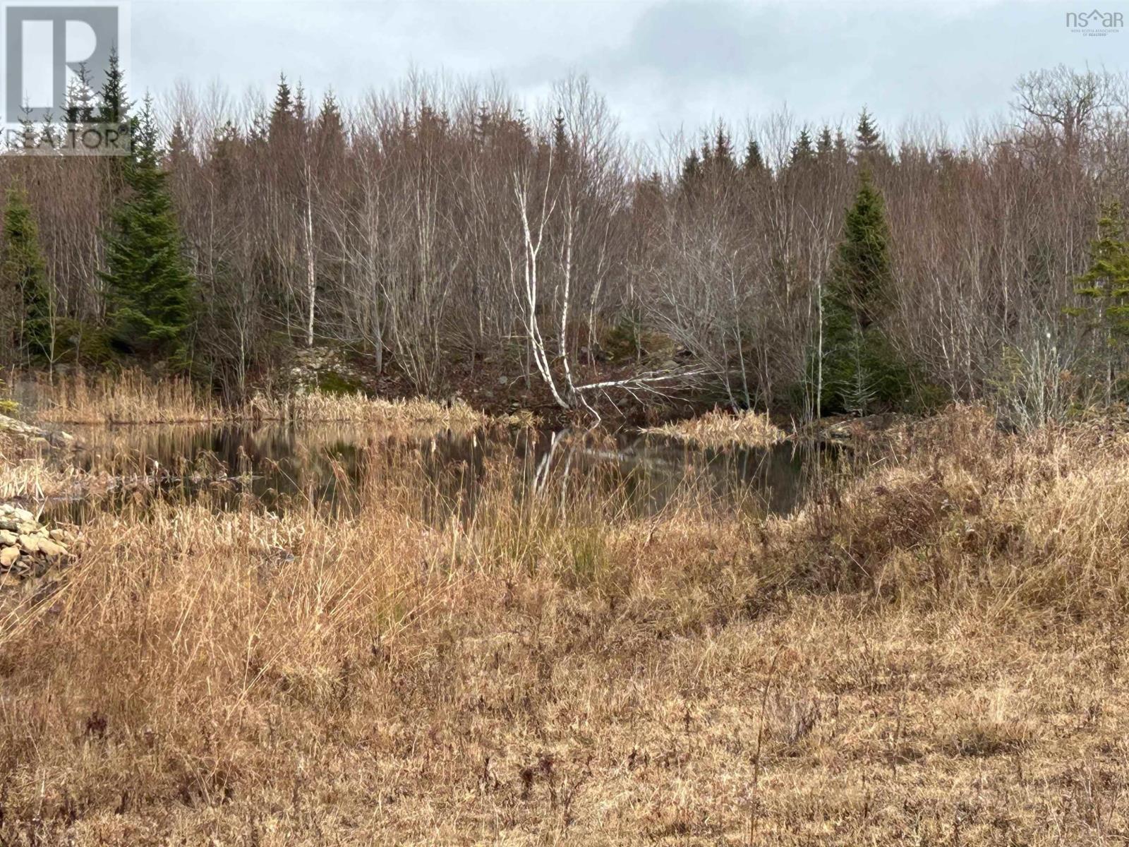 97 Harbour View Drive, Watt Section, Nova Scotia  B0J 3B0 - Photo 25 - 202427499