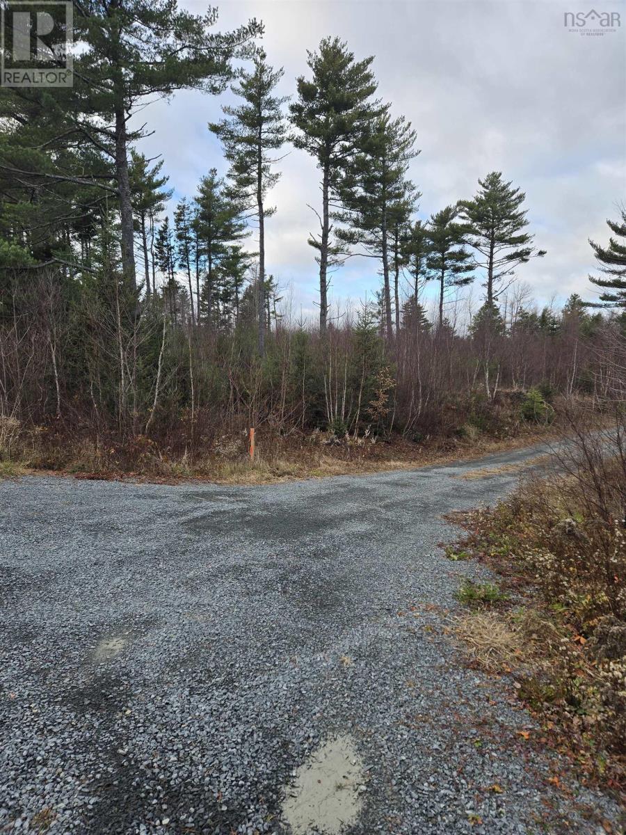 Lot P-1 Baker Road, Mount Pleasant, Nova Scotia  B0R 1G0 - Photo 1 - 202427538