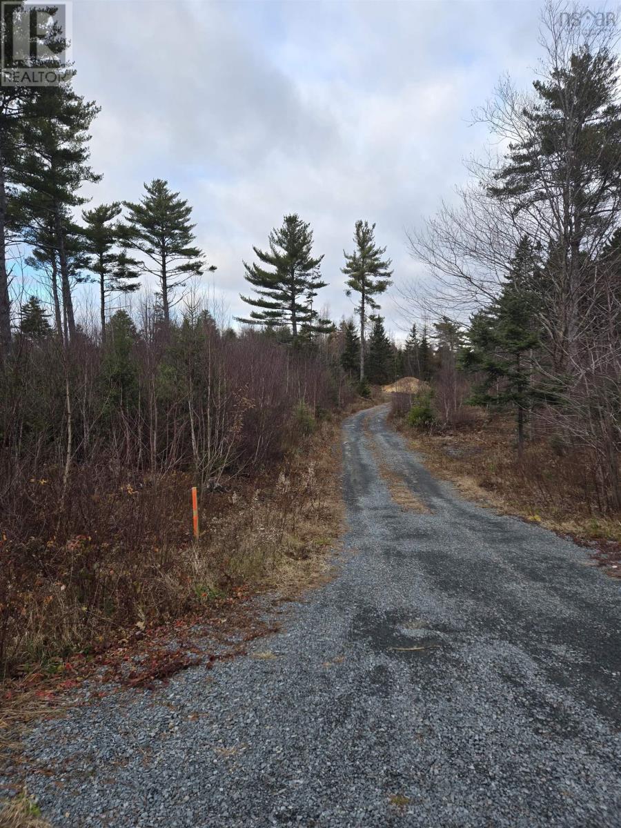 Lot P-1 Baker Road, Mount Pleasant, Nova Scotia  B0R 1G0 - Photo 3 - 202427538