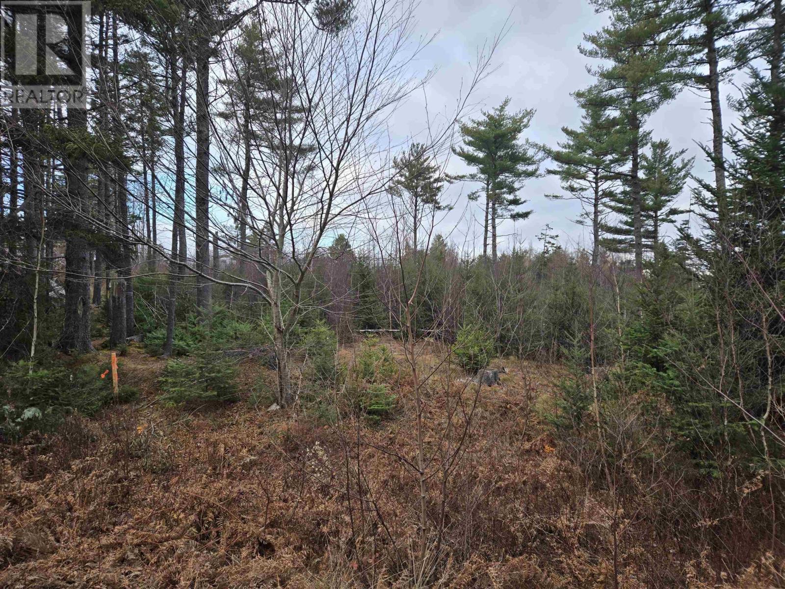 Lot P-1 Baker Road, Mount Pleasant, Nova Scotia  B0R 1G0 - Photo 4 - 202427538