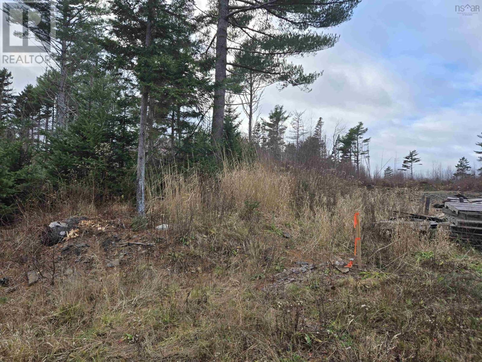 Lot P-1 Baker Road, Mount Pleasant, Nova Scotia  B0R 1G0 - Photo 6 - 202427538