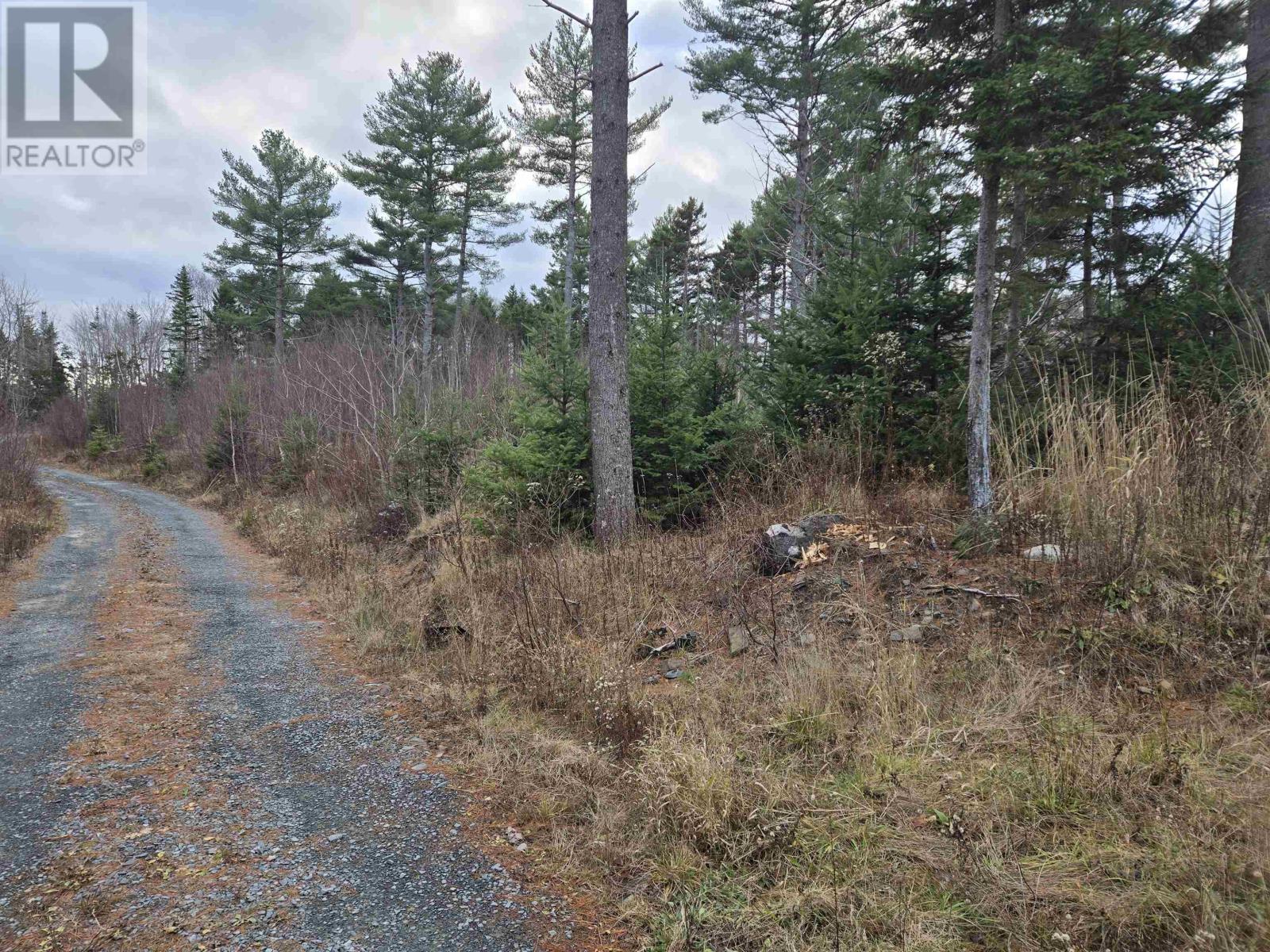 Lot P-1 Baker Road, Mount Pleasant, Nova Scotia  B0R 1G0 - Photo 7 - 202427538