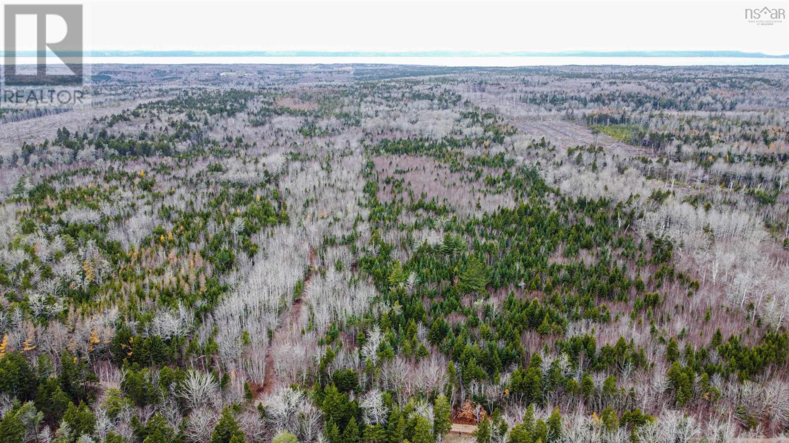 Old North Range Road, Ashmore, Nova Scotia  B0W 3T0 - Photo 2 - 202427546