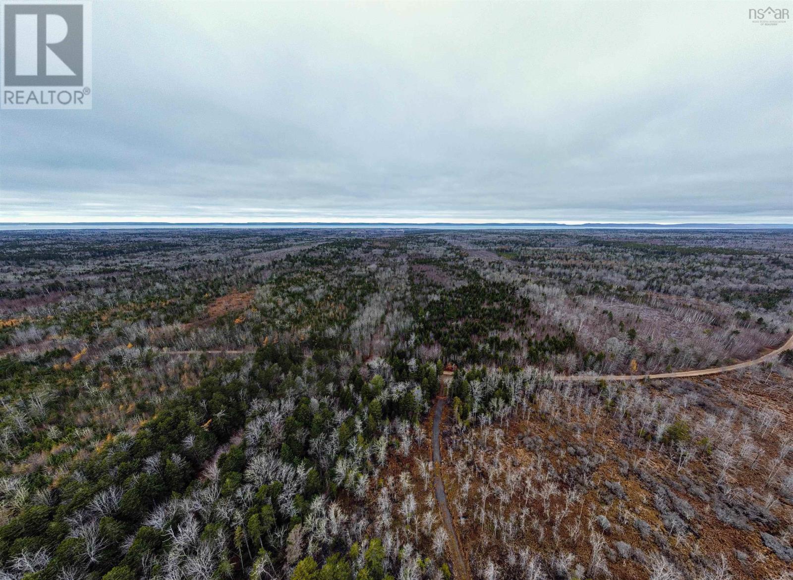 Old North Range Road, Ashmore, Nova Scotia  B0W 3T0 - Photo 3 - 202427546