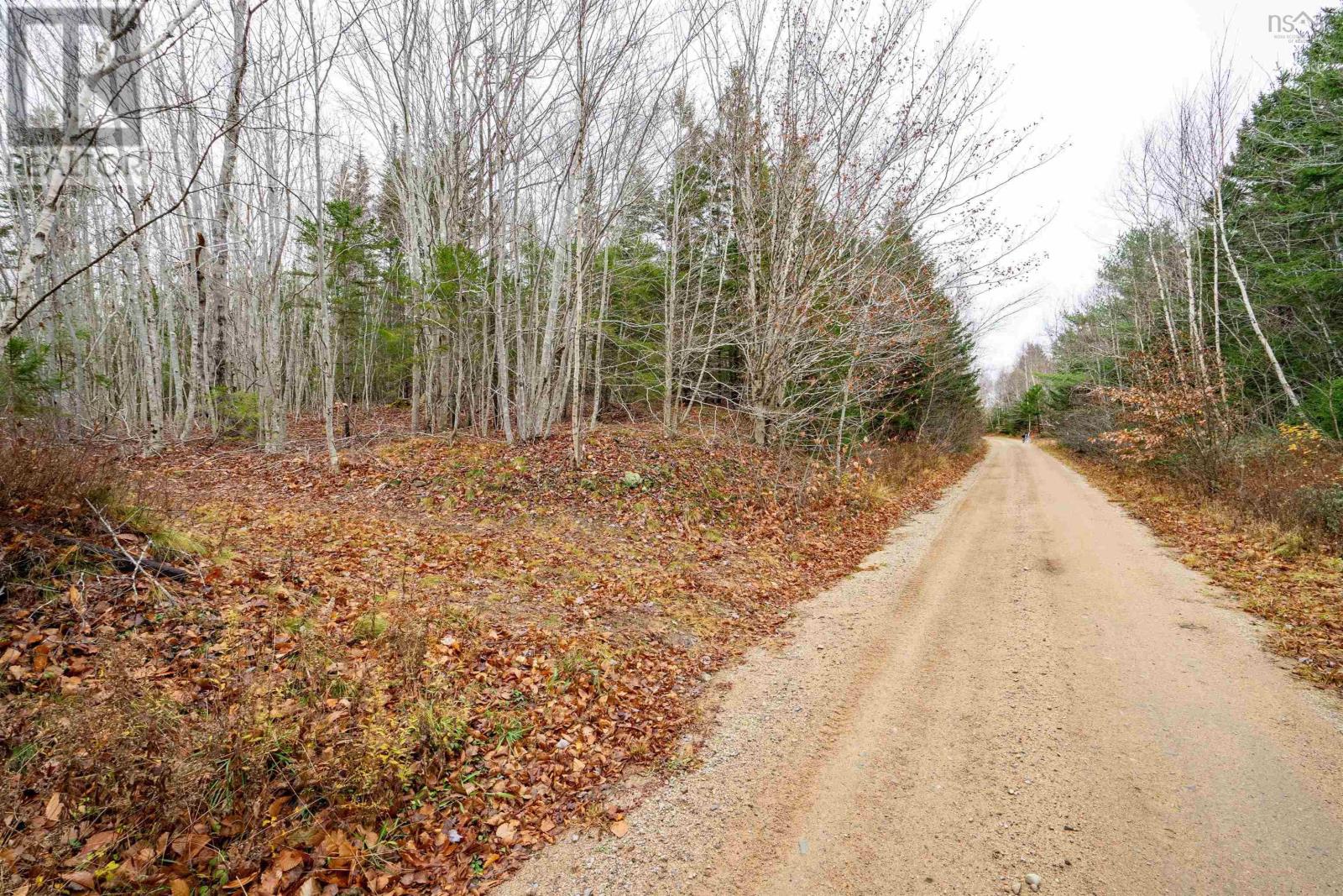 Old North Range Road, Ashmore, Nova Scotia  B0W 3T0 - Photo 4 - 202427546