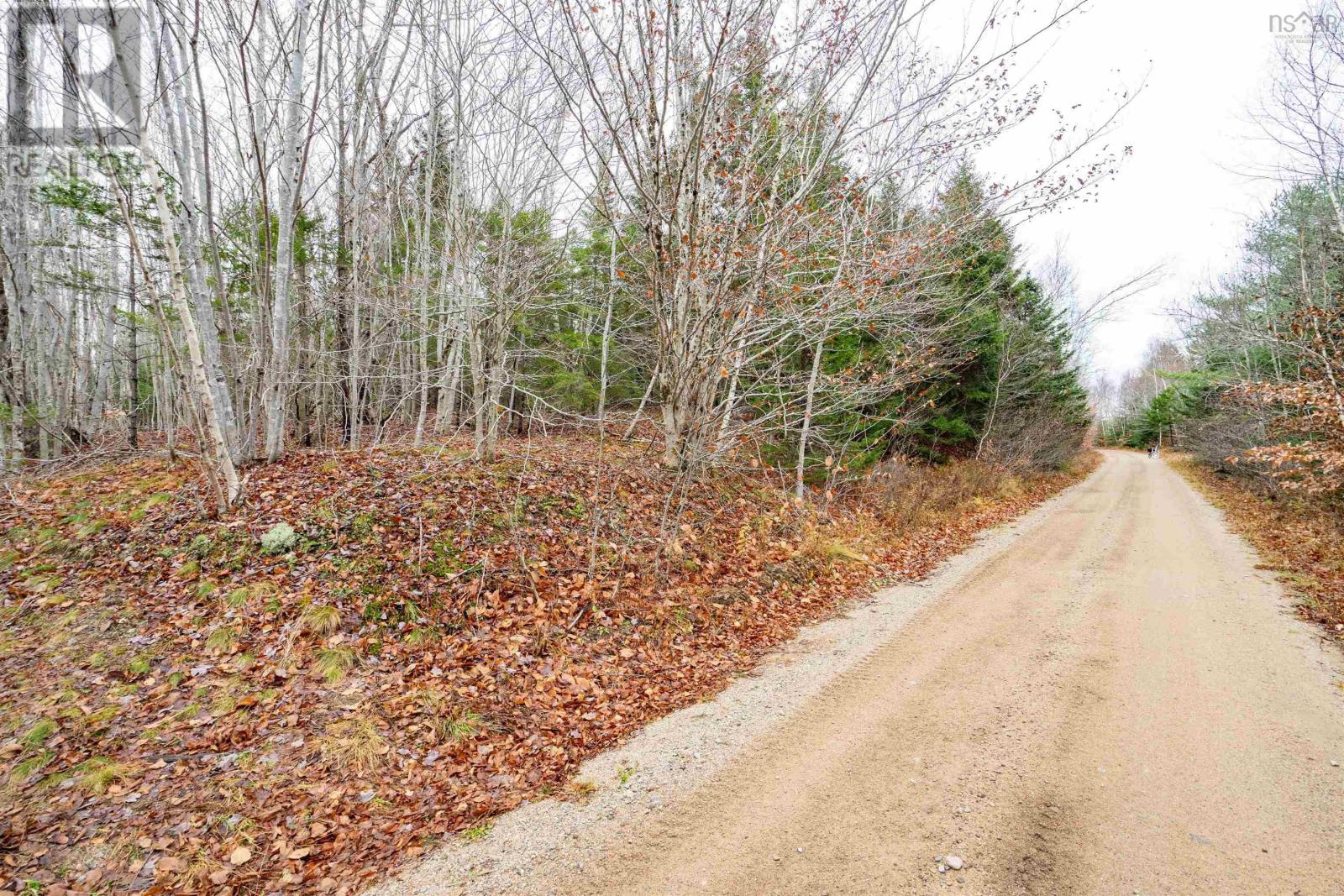 Old North Range Road, Ashmore, Nova Scotia  B0W 3T0 - Photo 5 - 202427546