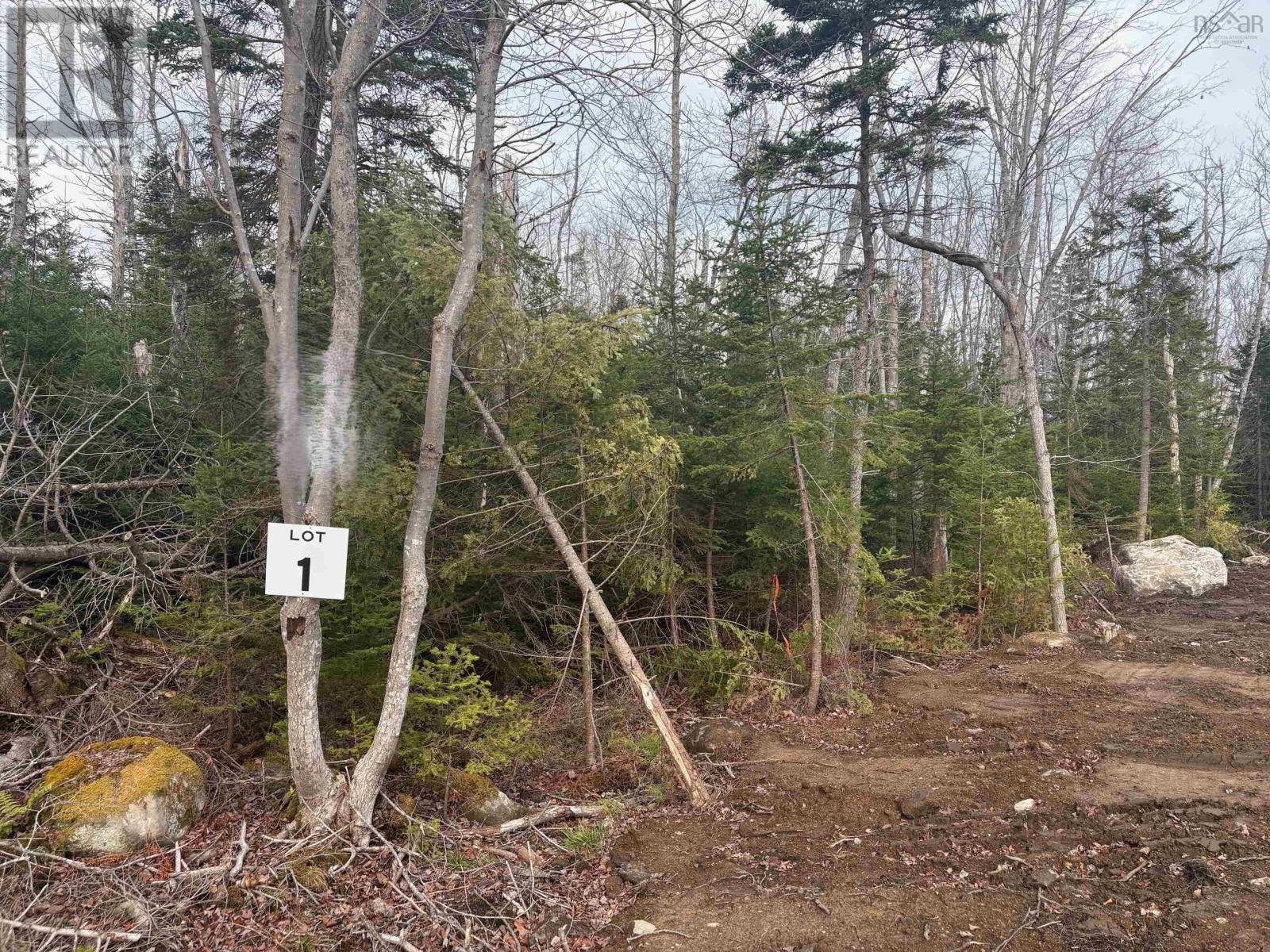 Lot 1 Larry Seldon Lane, western head, Nova Scotia