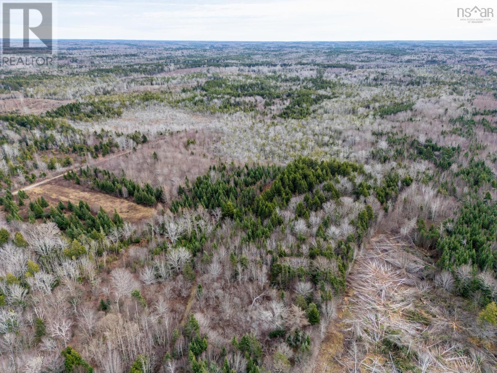 Lots Boudreau Branch Road, Church Point, Nova Scotia  B0W 1M0 - Photo 10 - 202427681