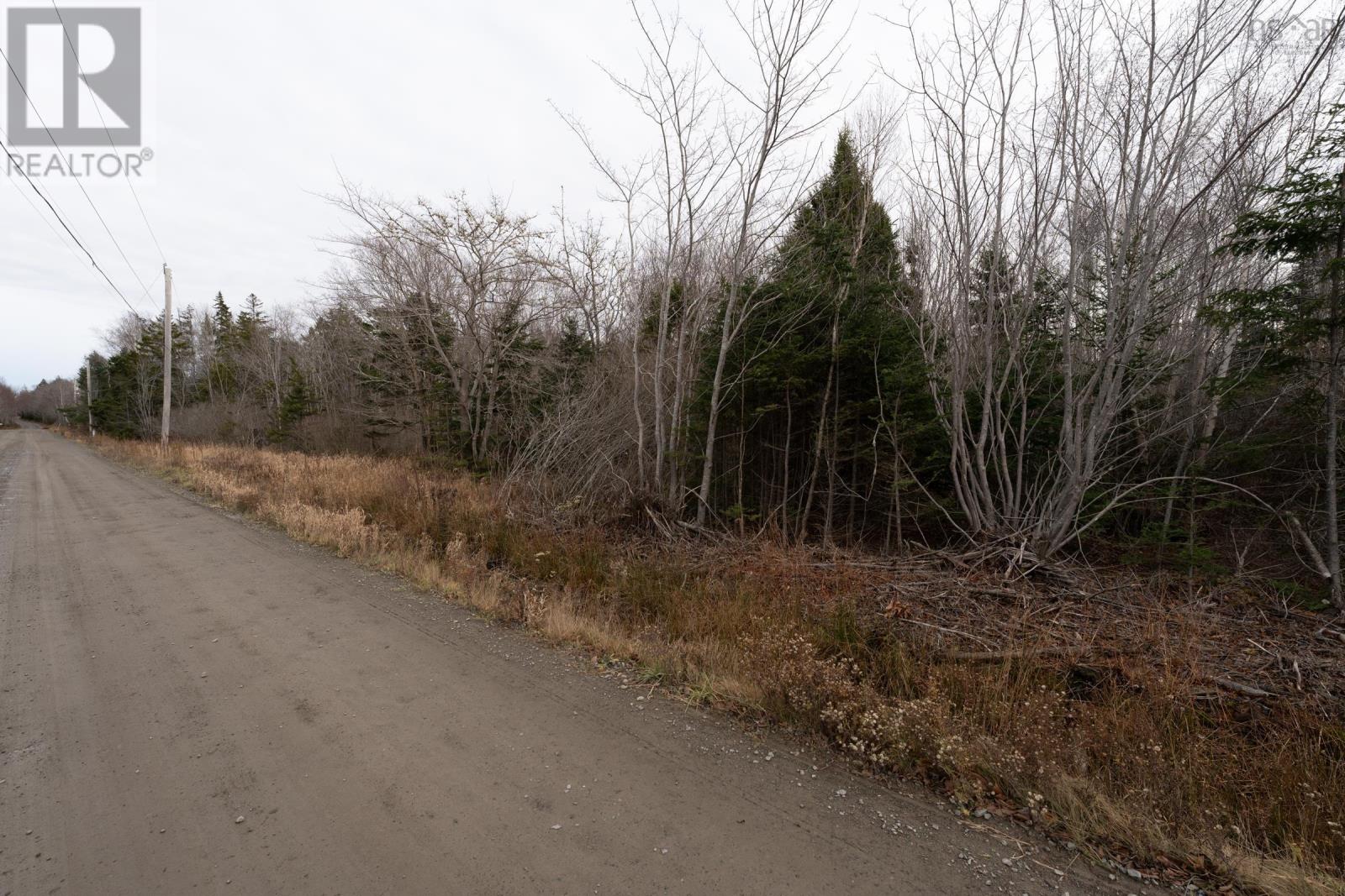 Lots Boudreau Branch Road, Church Point, Nova Scotia  B0W 1M0 - Photo 12 - 202427681