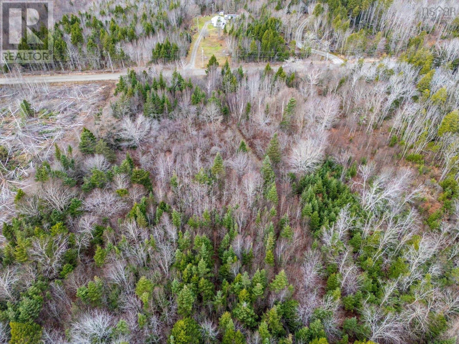 Lots Boudreau Branch Road, Church Point, Nova Scotia  B0W 1M0 - Photo 7 - 202427681