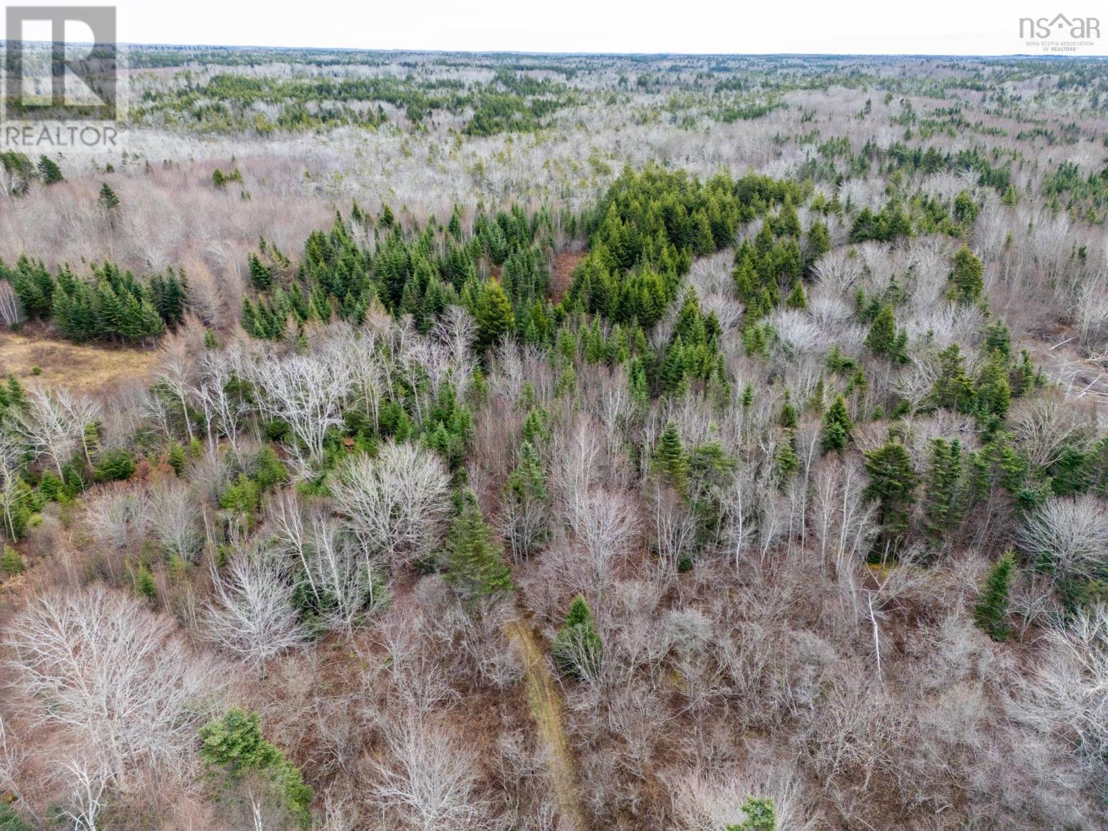 Lots Boudreau Branch Road, Church Point, Nova Scotia  B0W 1M0 - Photo 8 - 202427681