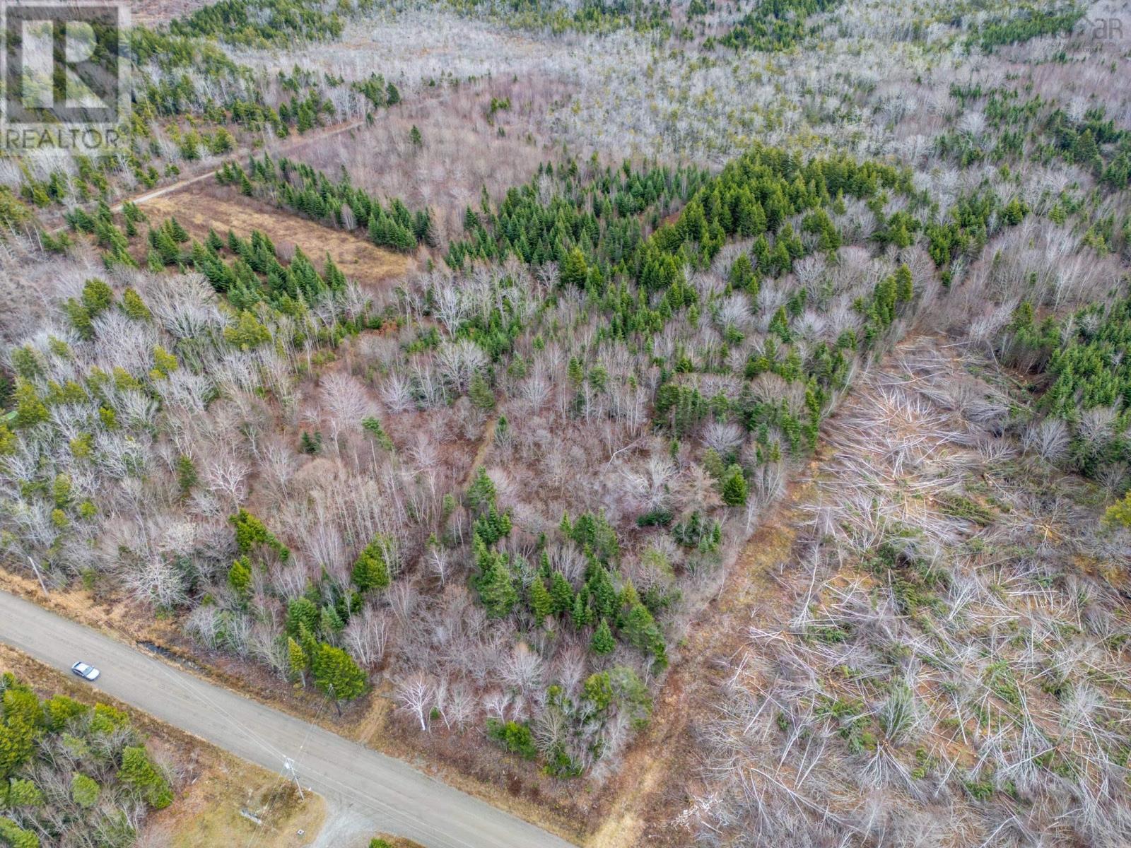 Lots Boudreau Branch Road, Church Point, Nova Scotia  B0W 1M0 - Photo 9 - 202427681