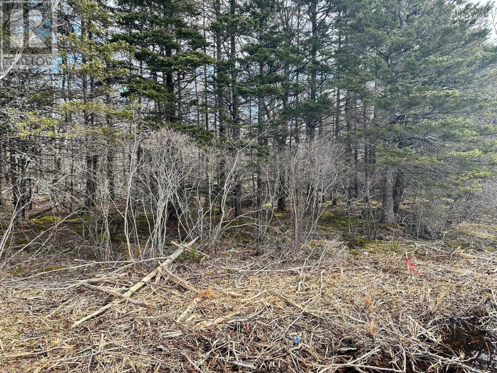 Lot 2 Shore Road, Western Head, Nova Scotia  B0T 1K0 - Photo 2 - 202427694