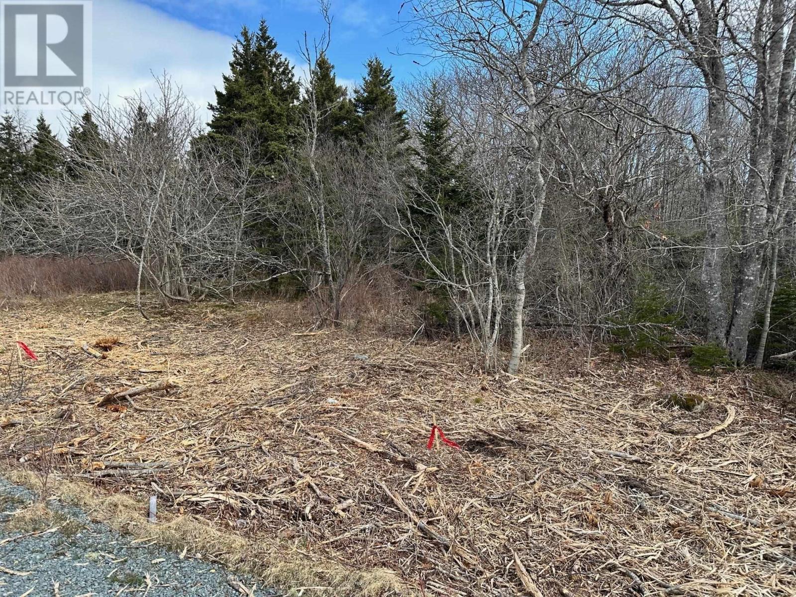 Lot 3 Shore Road, Western Head, Nova Scotia  B0T 1K0 - Photo 2 - 202427695