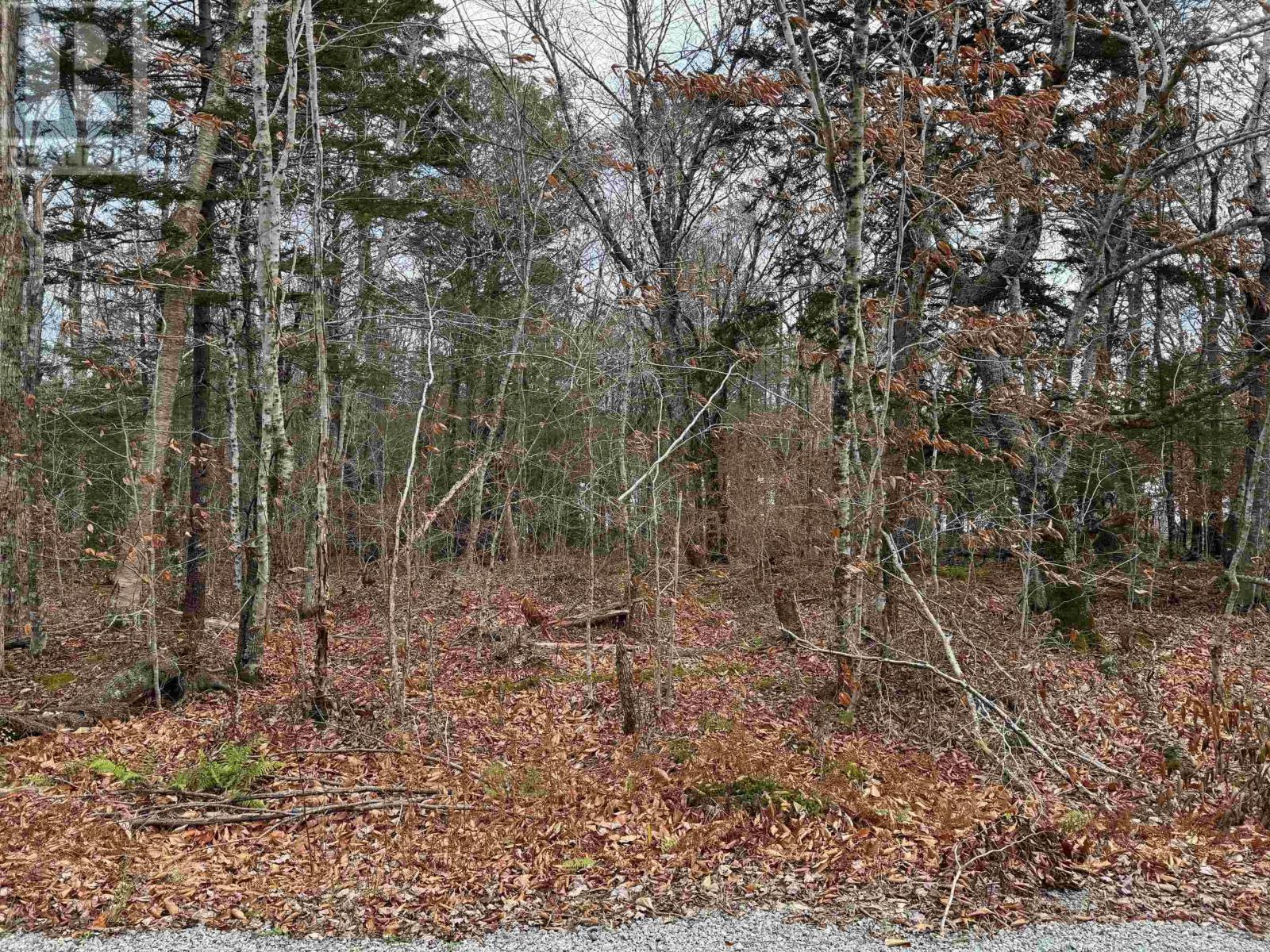 Lot 6 Kempt Back Lake Road, Kemptville, Nova Scotia  B5A 5X9 - Photo 4 - 202427952