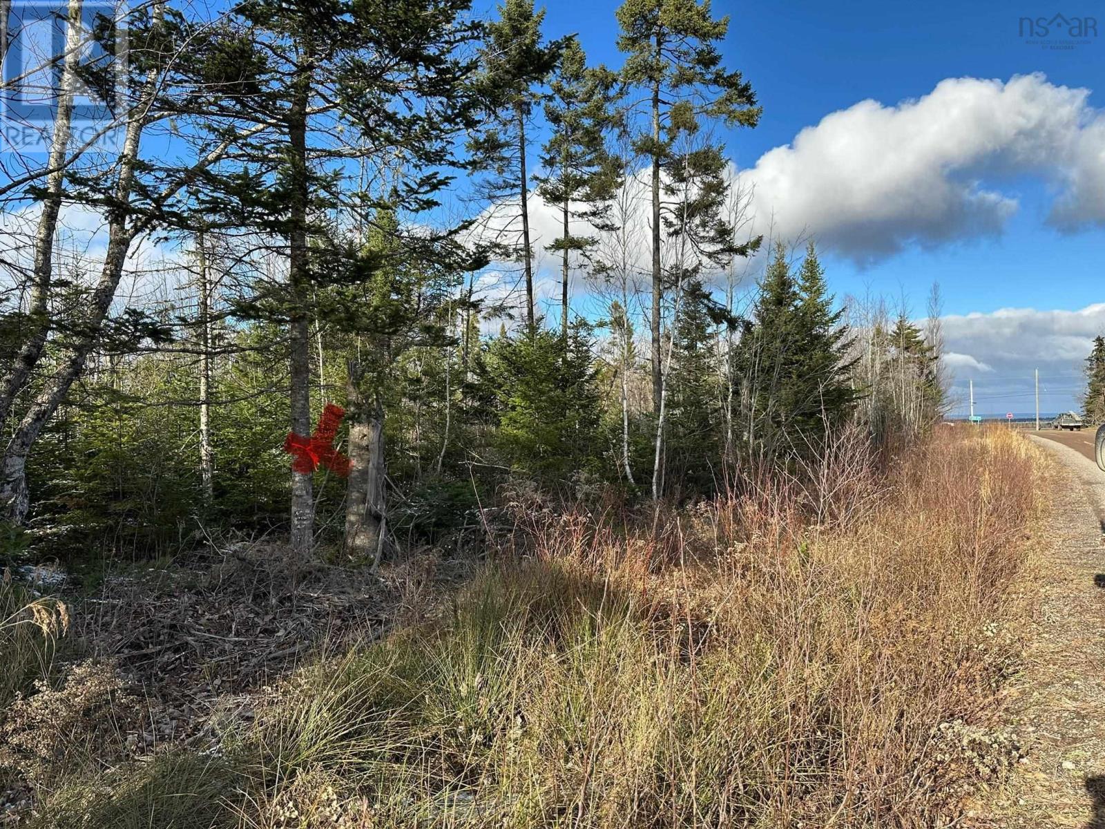 Land Beck Road, Scotch Hill, Nova Scotia  B0K 1H0 - Photo 3 - 202427957