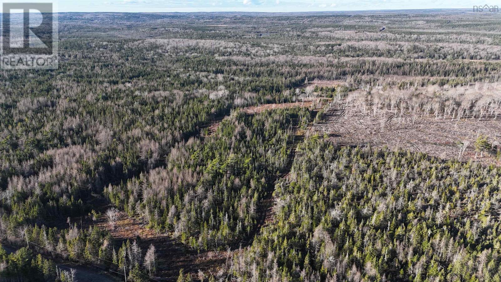 Salmon River Road, Enon, Nova Scotia  B1J 1X4 - Photo 10 - 202427992