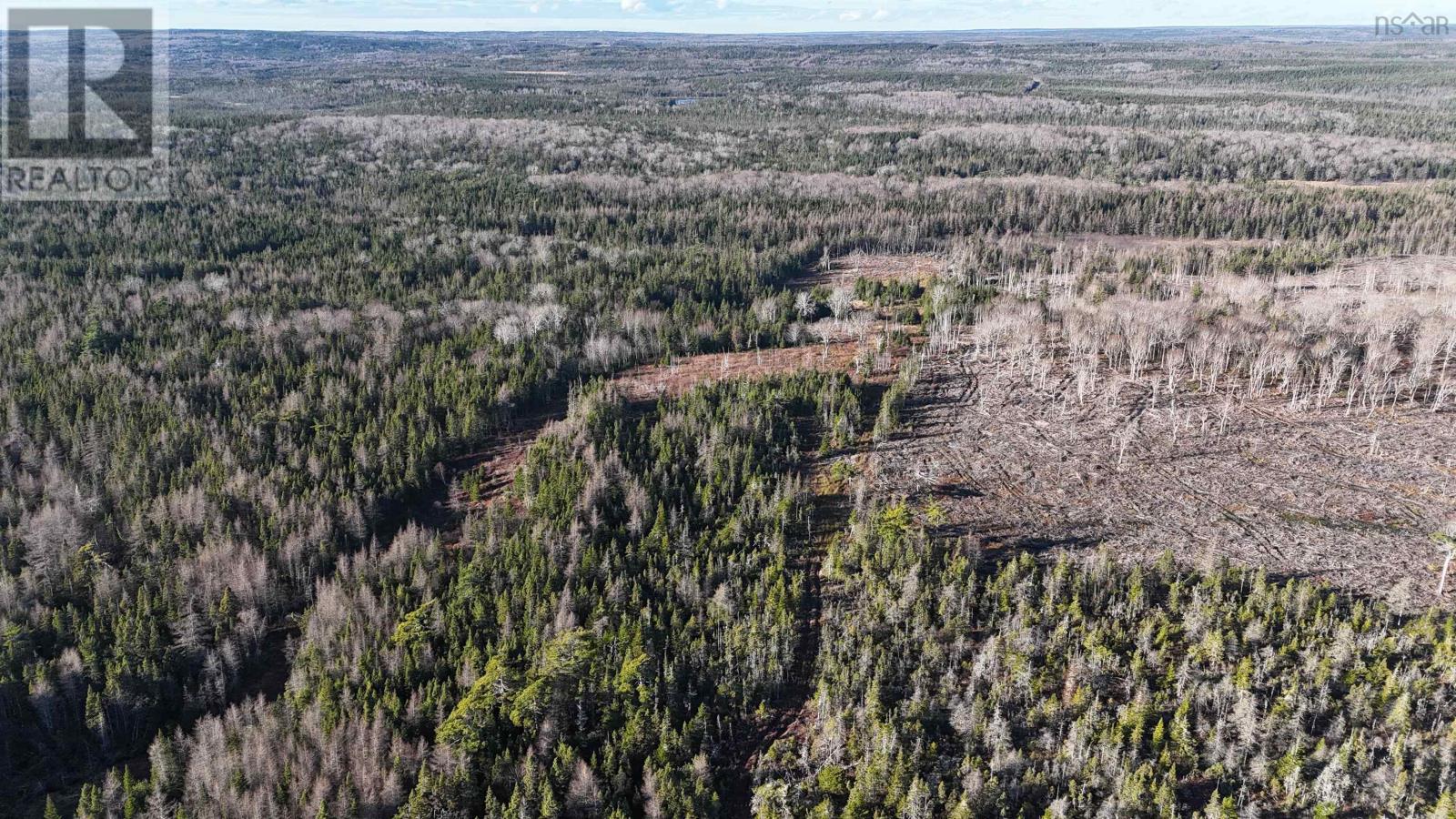 Salmon River Road, Enon, Nova Scotia  B1J 1X4 - Photo 11 - 202427992