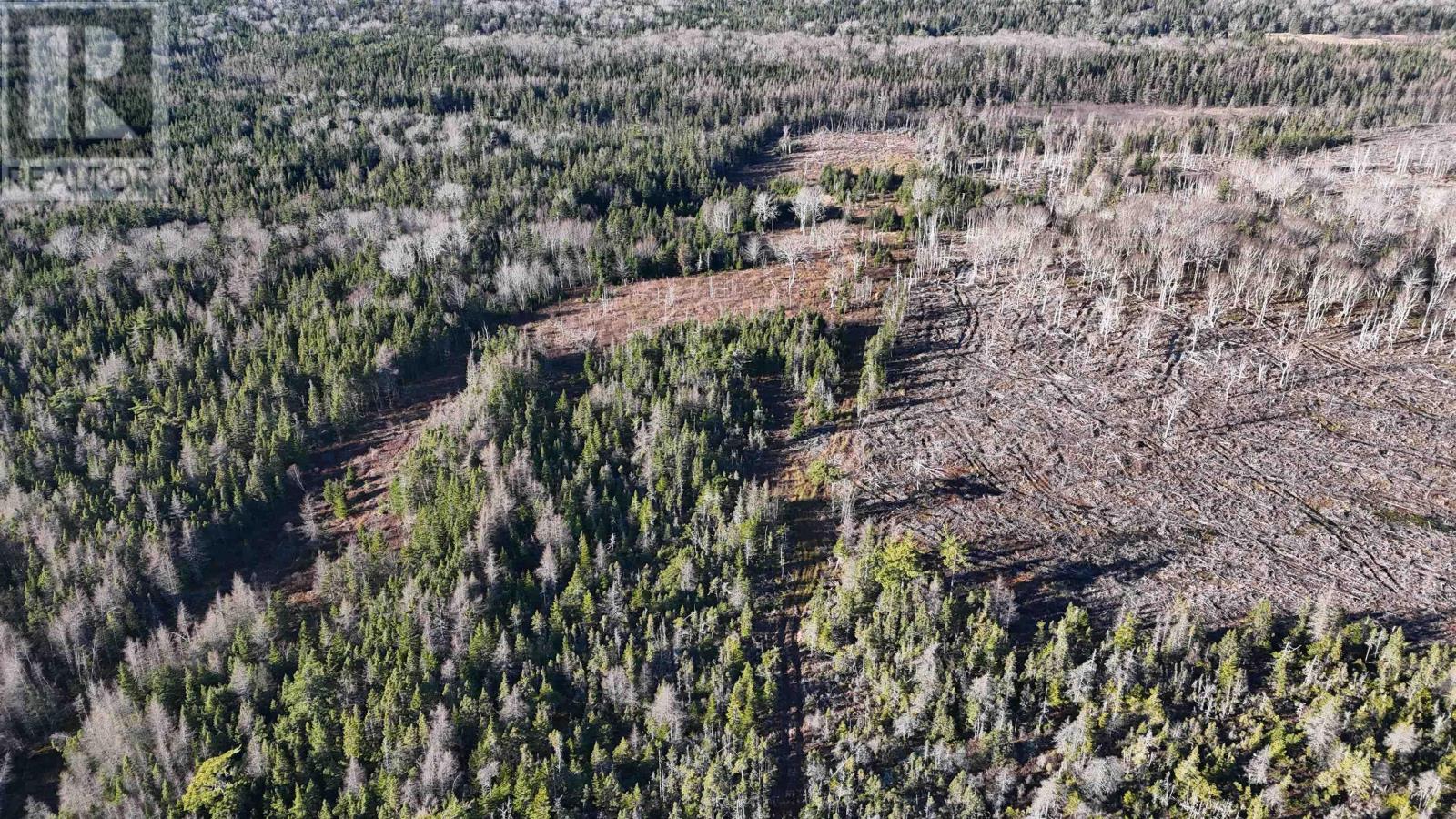 Salmon River Road, Enon, Nova Scotia  B1J 1X4 - Photo 13 - 202427992