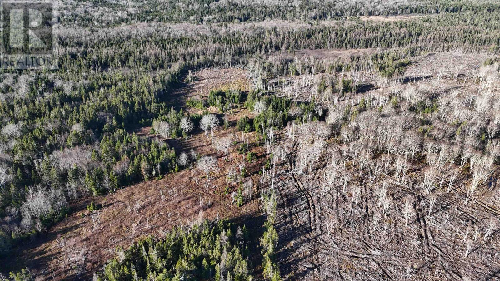 Salmon River Road, Enon, Nova Scotia  B1J 1X4 - Photo 14 - 202427992