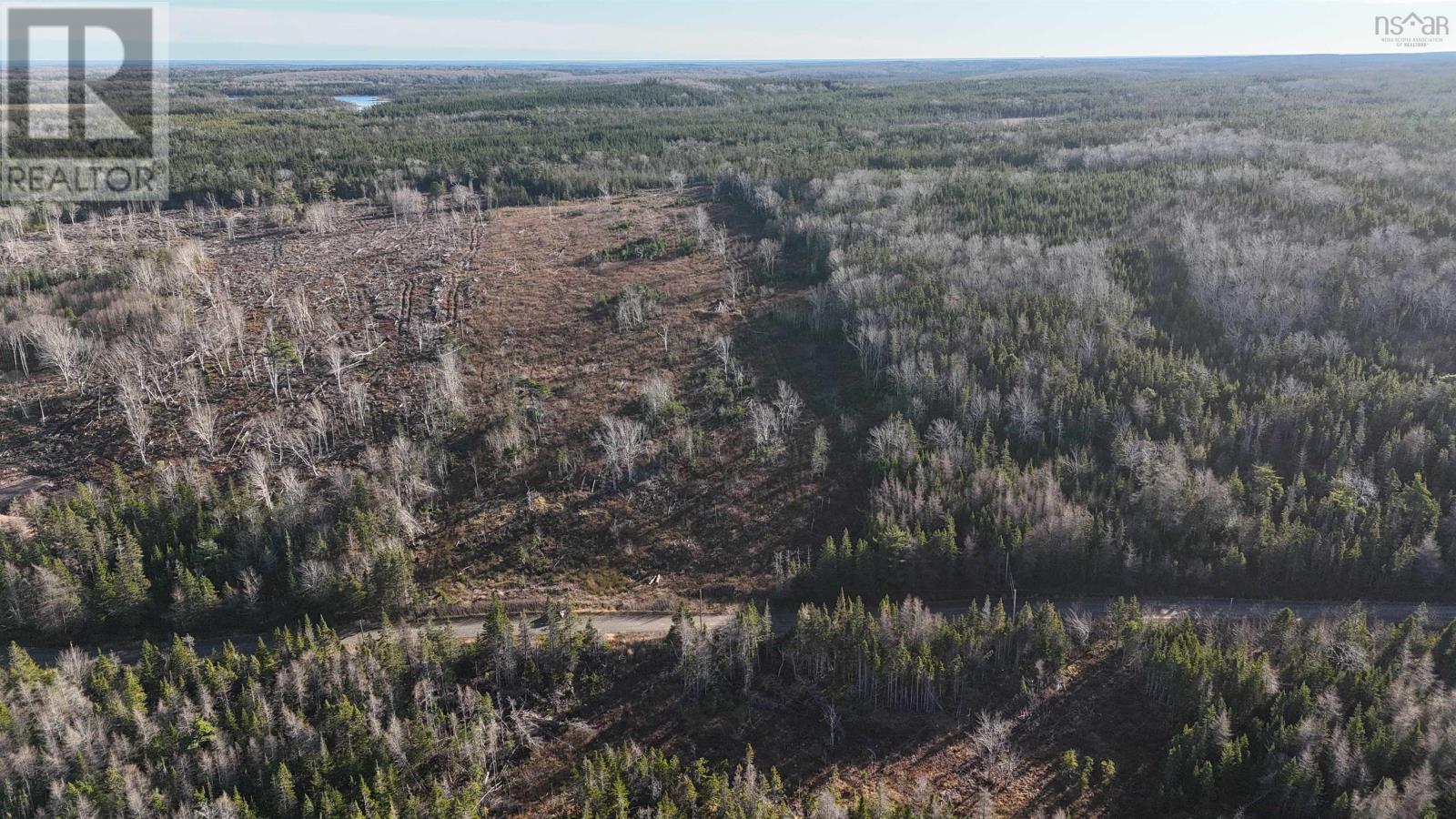 Salmon River Road, Enon, Nova Scotia  B1J 1X4 - Photo 15 - 202427992