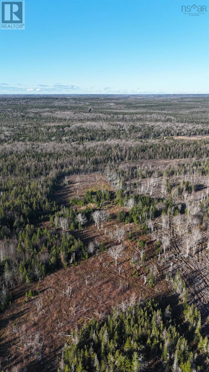 Salmon River Road, Enon, Nova Scotia  B1J 1X4 - Photo 17 - 202427992