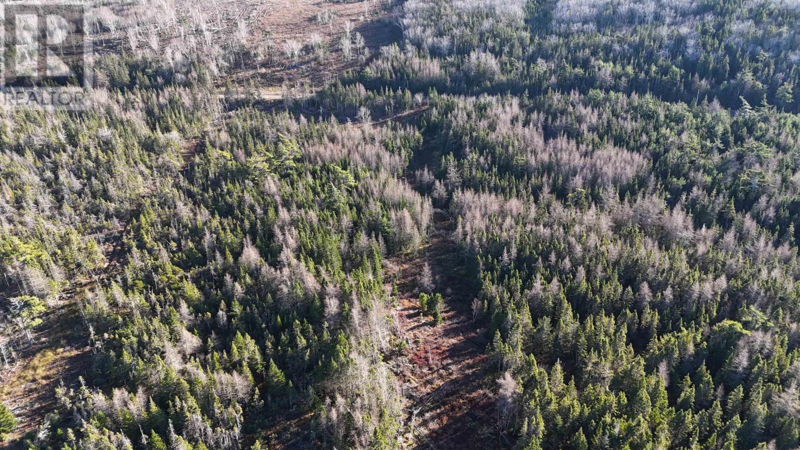 Salmon River Road, Enon, Nova Scotia  B1J 1X4 - Photo 20 - 202427992